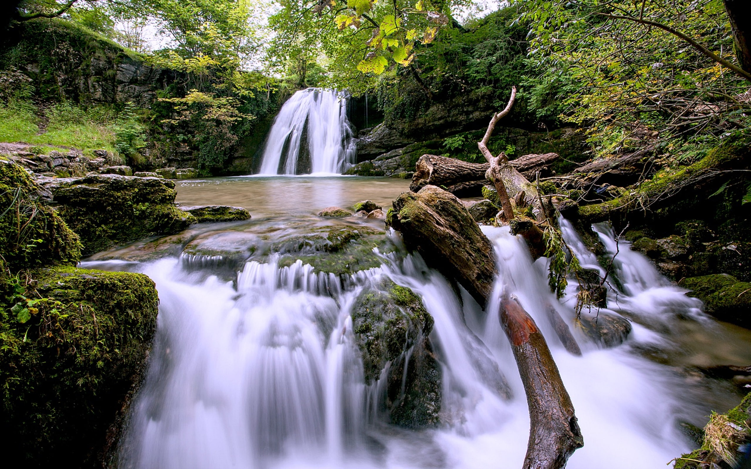 pool, forest, waterfall, 2K, hd, green, splitters, river, wood, stones, moss, HD Wallpaper