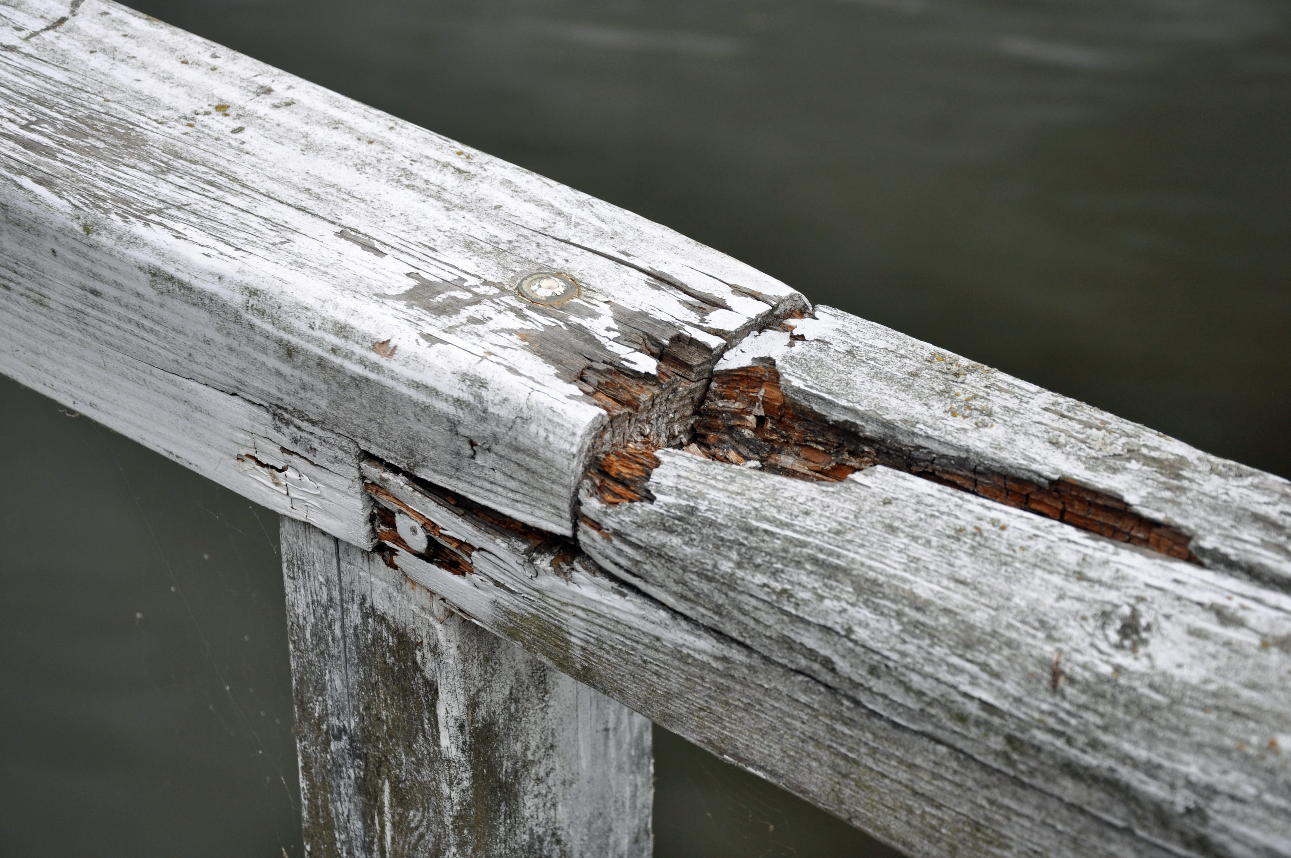 4K, outdoors, nail, old, diagonal, textured, decay, connection, no people, weather, festival, direction, weak, railing, white, fence, close-up, splitter, HD Wallpaper