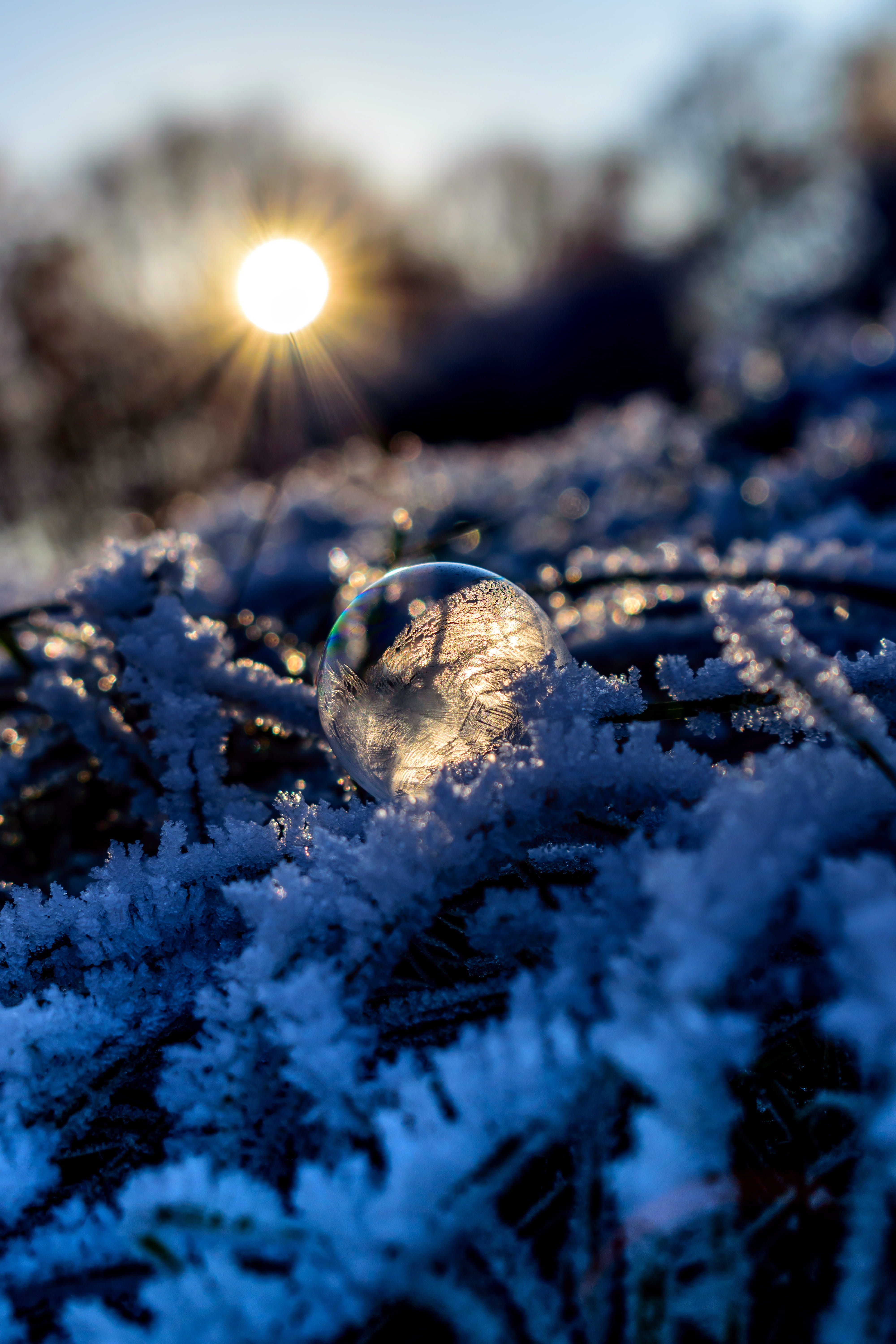 snowcapped mountain, focus on foreground, snow, land, ze, no People, water, sunrise, plant, selective focus, cold - Temperature, soap bubble, frost, sunlight, Phone HD Wallpaper