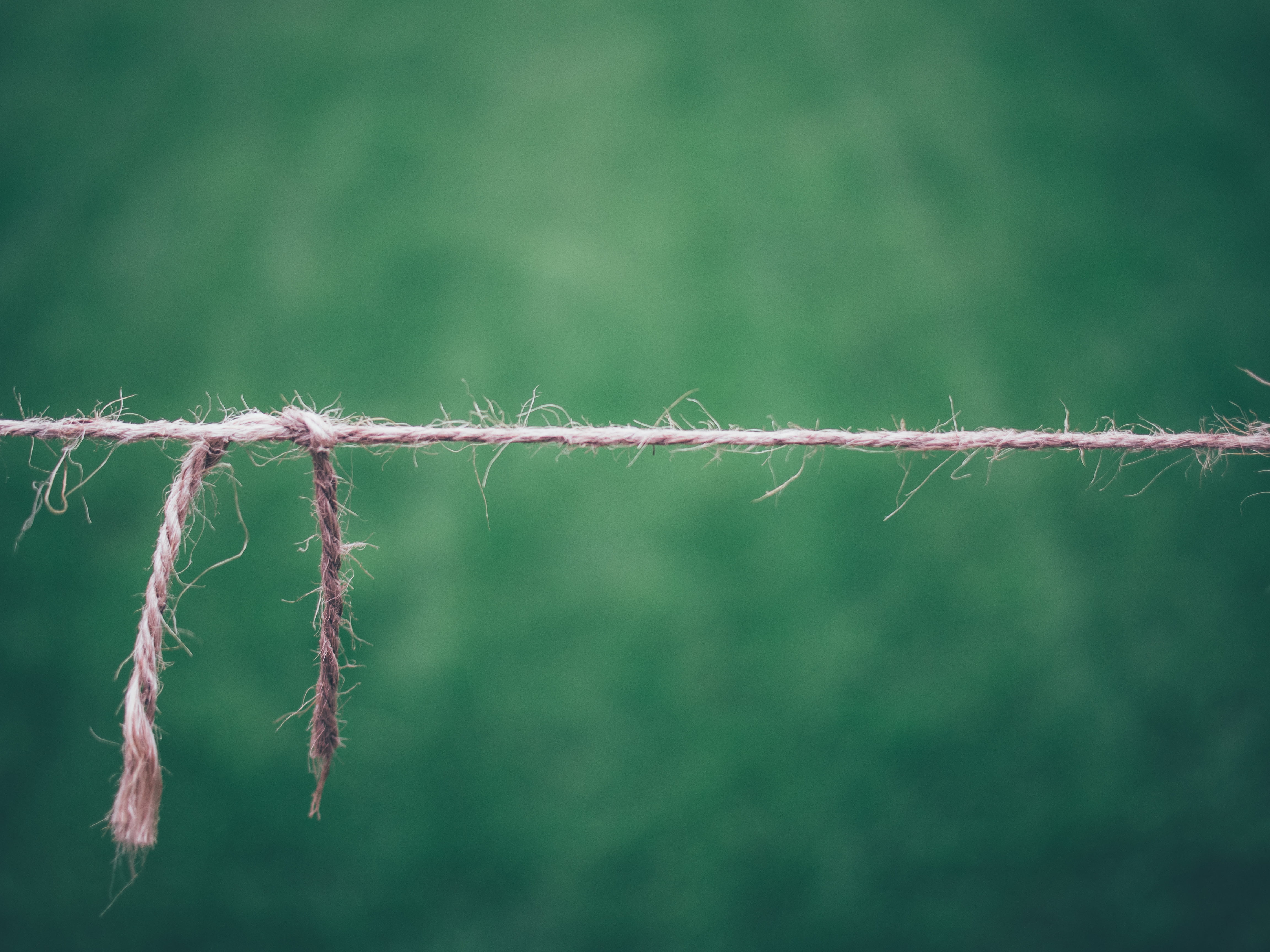 close-up, metal, rope, day, nature, thread, tied Knot, photography, selective focus, sharp, boundary, pattern, string, plant, close, barbed wire, breakage, HD Wallpaper