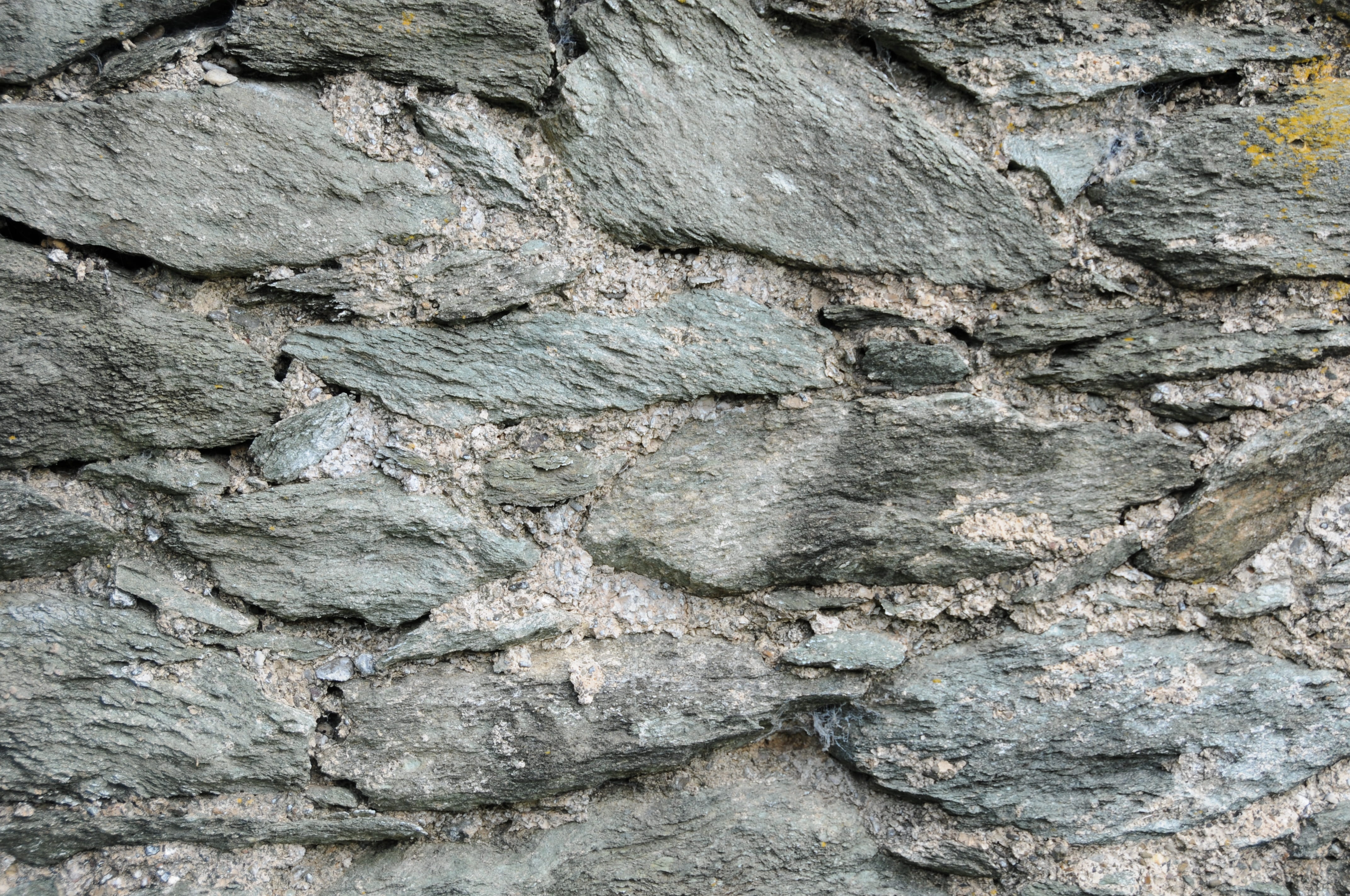 macro, abstract, 4K, backgrounds, wall - Building Feature, nature, rough, full frame, weathered, extreme close-up, tree trunk, textured, tree, breakage, HD Wallpaper