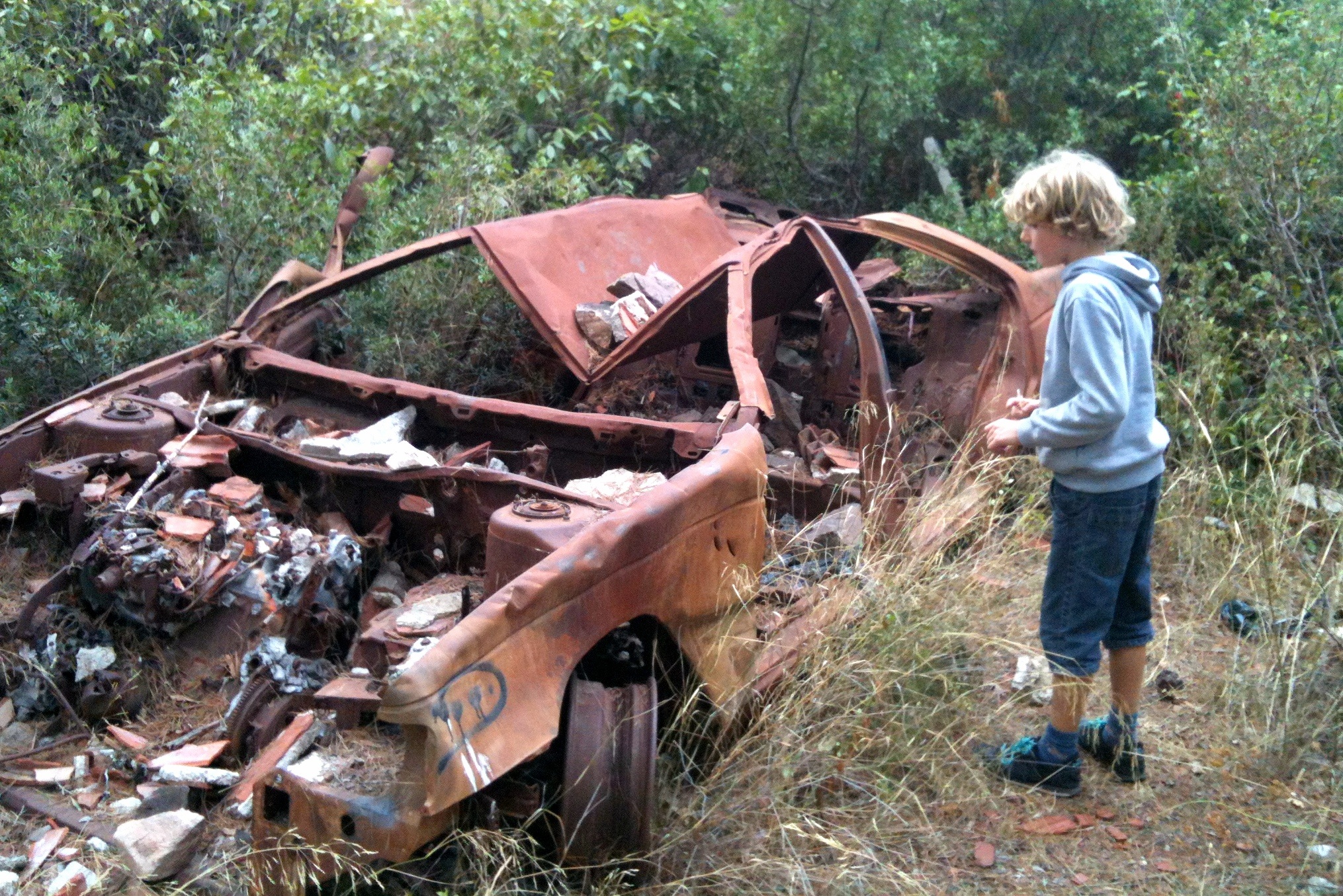 broken, breakage, plant, 1080P, child, land, transportation, nature, demolition, real people, wreck, offspring, slammer, standing, outdoors, one person, HD Wallpaper
