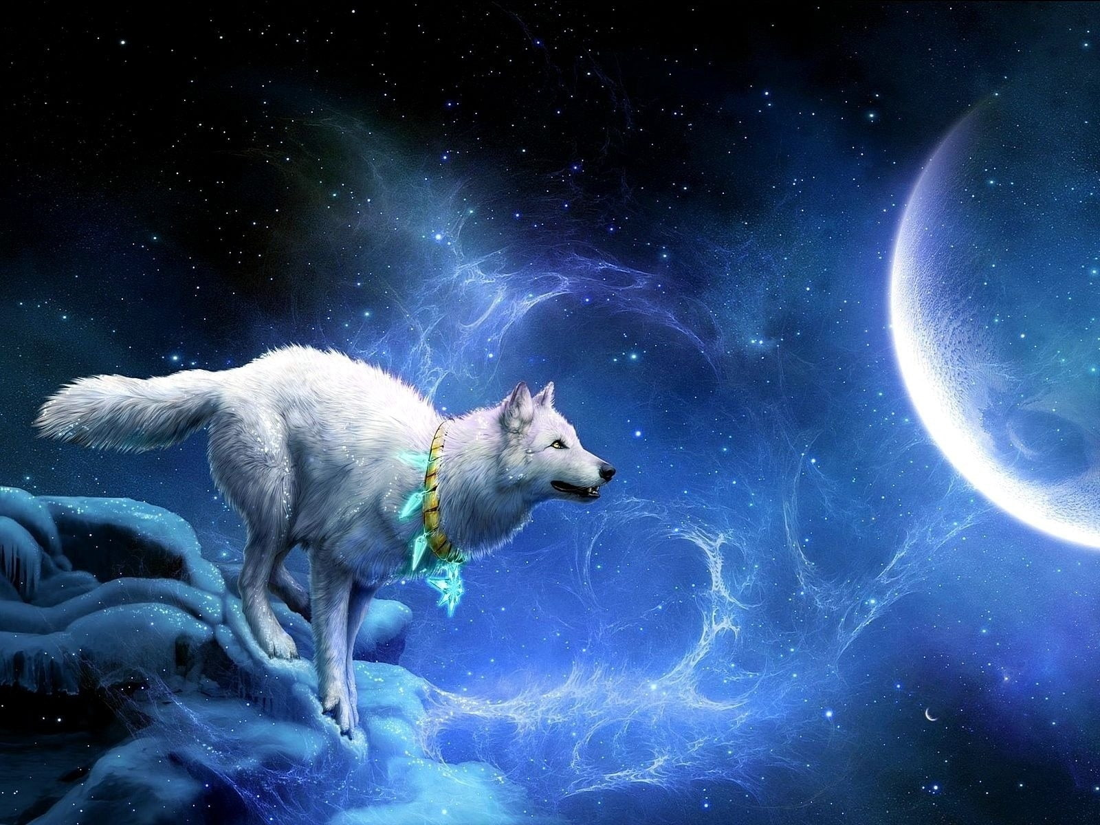 mammal, breakage, full, one animal, canine, arrivals, wall, domestic, star - space, astronomy, blue, nature, vertebrate, hd, animal, animal themes, white, HD Wallpaper