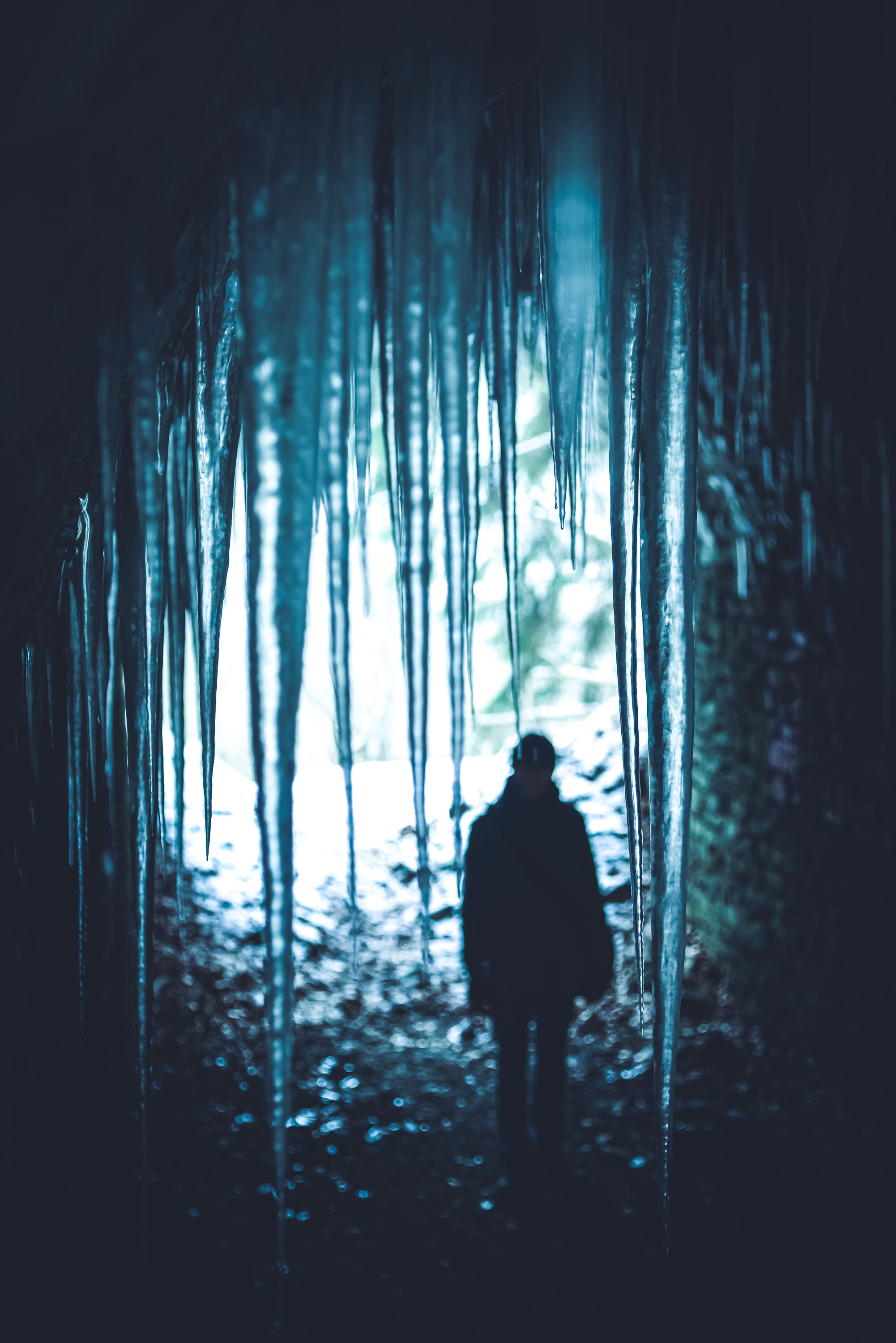 ice, person, beauty in nature, spiky, one person, frozen, full length, woodland, silhouette, standing, dark, tranquility, 2K, real people, plant, trunk, Phone HD Wallpaper