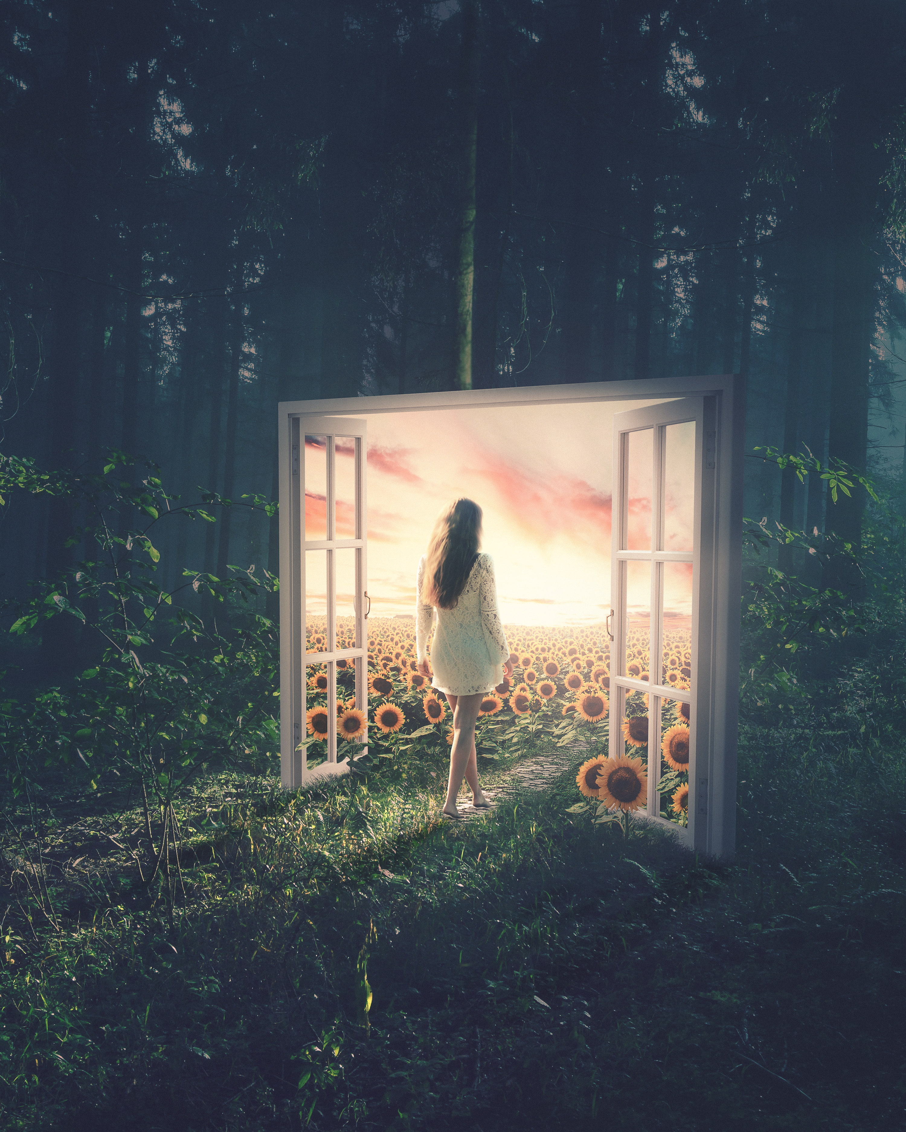 Sunflowers, Dream, HD, Girl, Surreal, 2K, Girly, Windows, Forest, Phone HD Wallpaper