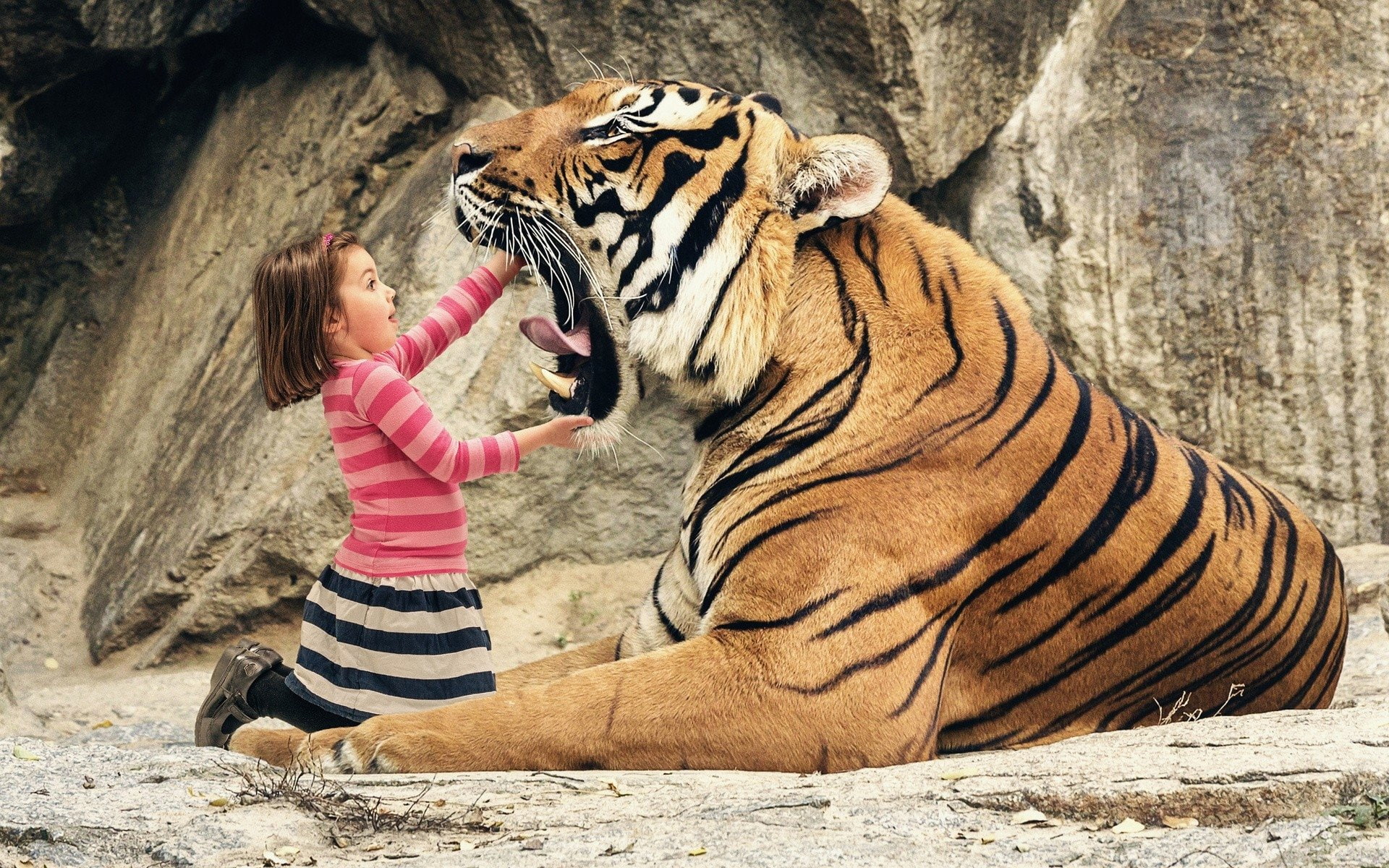 mira, 1080P, humor, tigre, abstracto, dientes, HD Wallpaper