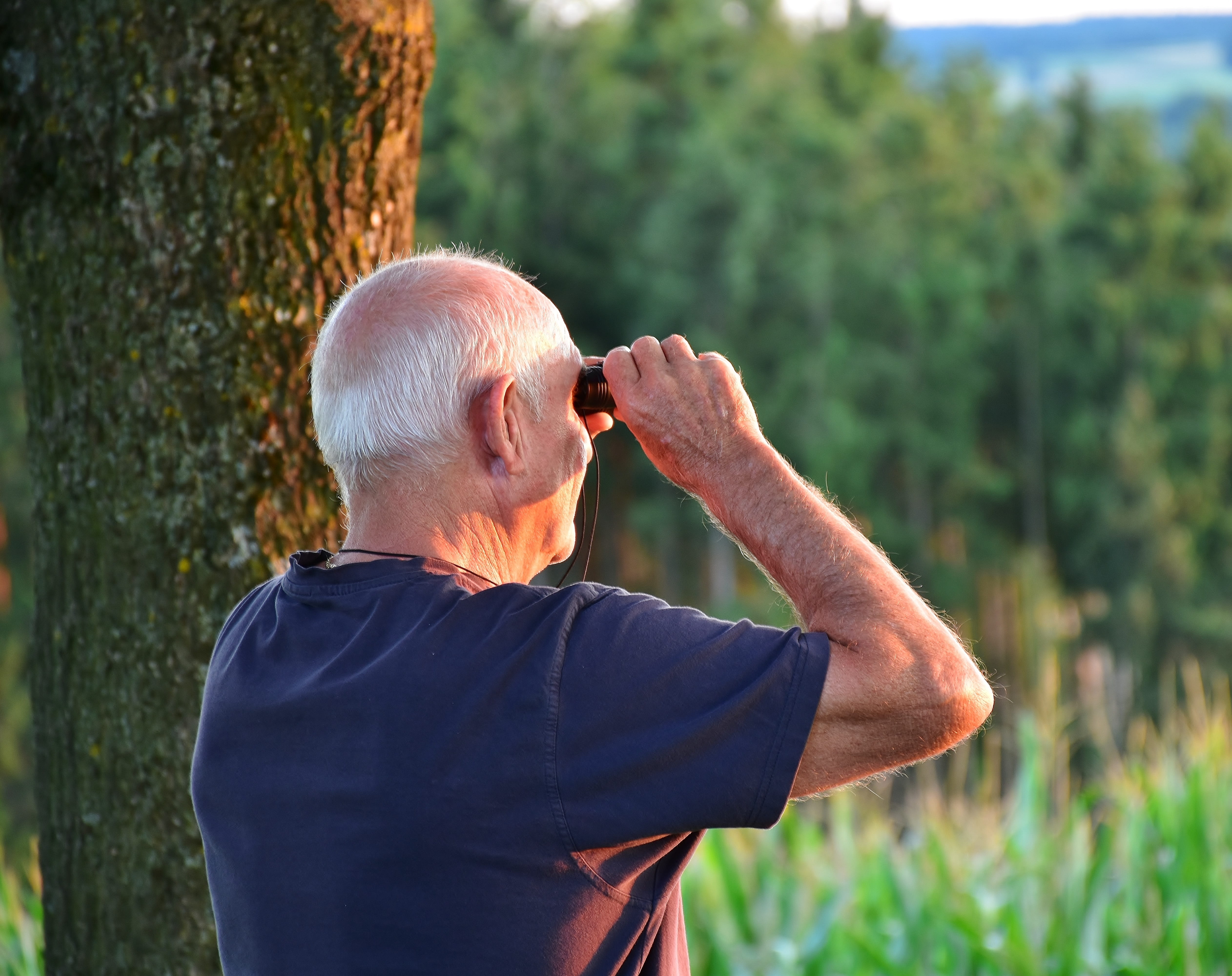 senior, day, activity, sky, man, mature men, nature, lifestyle, binocular, crew, holiday, outdoors, males, walk, summer, pension, arms raised, rear view, HD Wallpaper