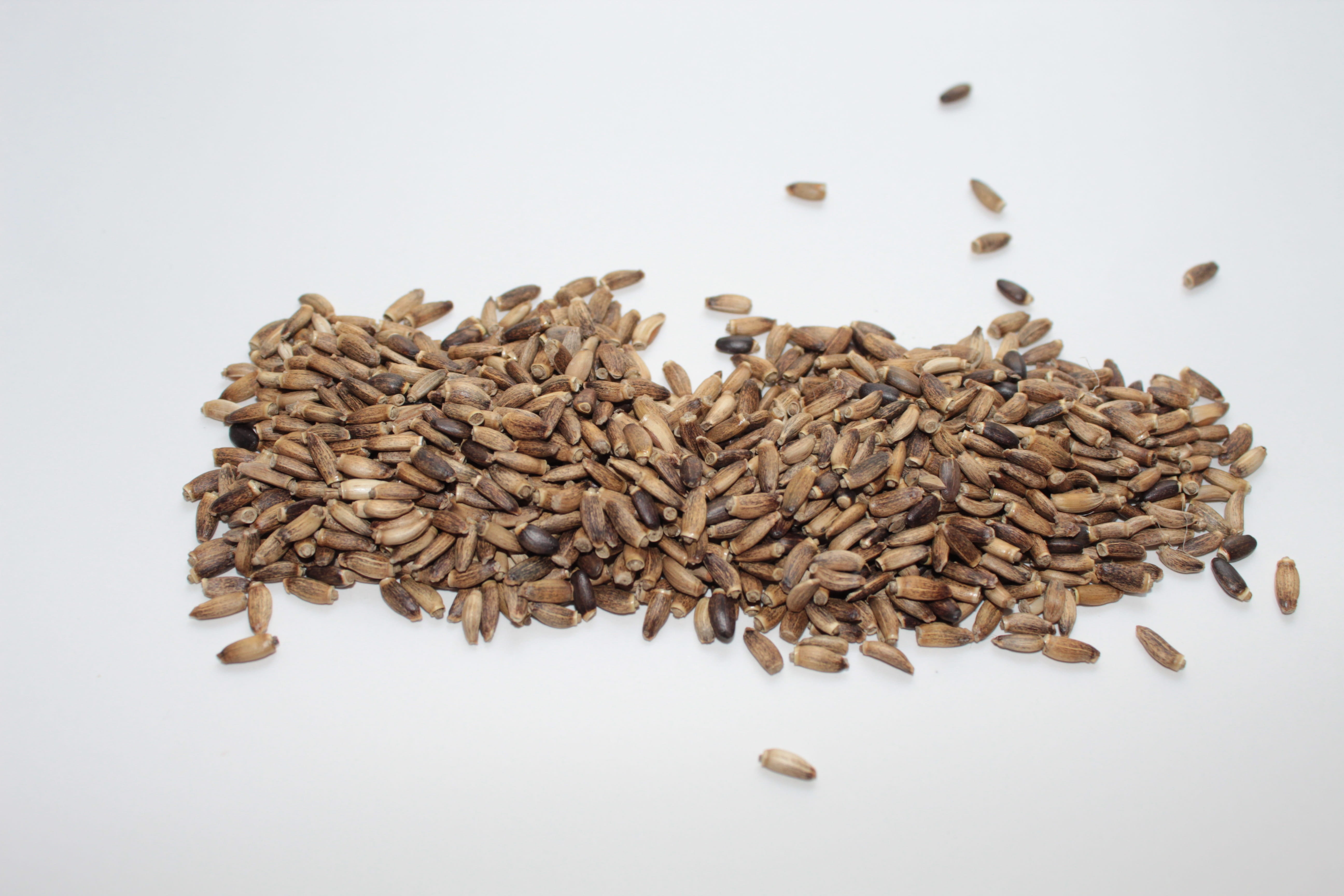 freshness, heap, 5K, food, white background, black, brown, white, germinate, large group of objects, healthy, close-up, cut out, use, nut - food, milk thistle seed, HD Wallpaper