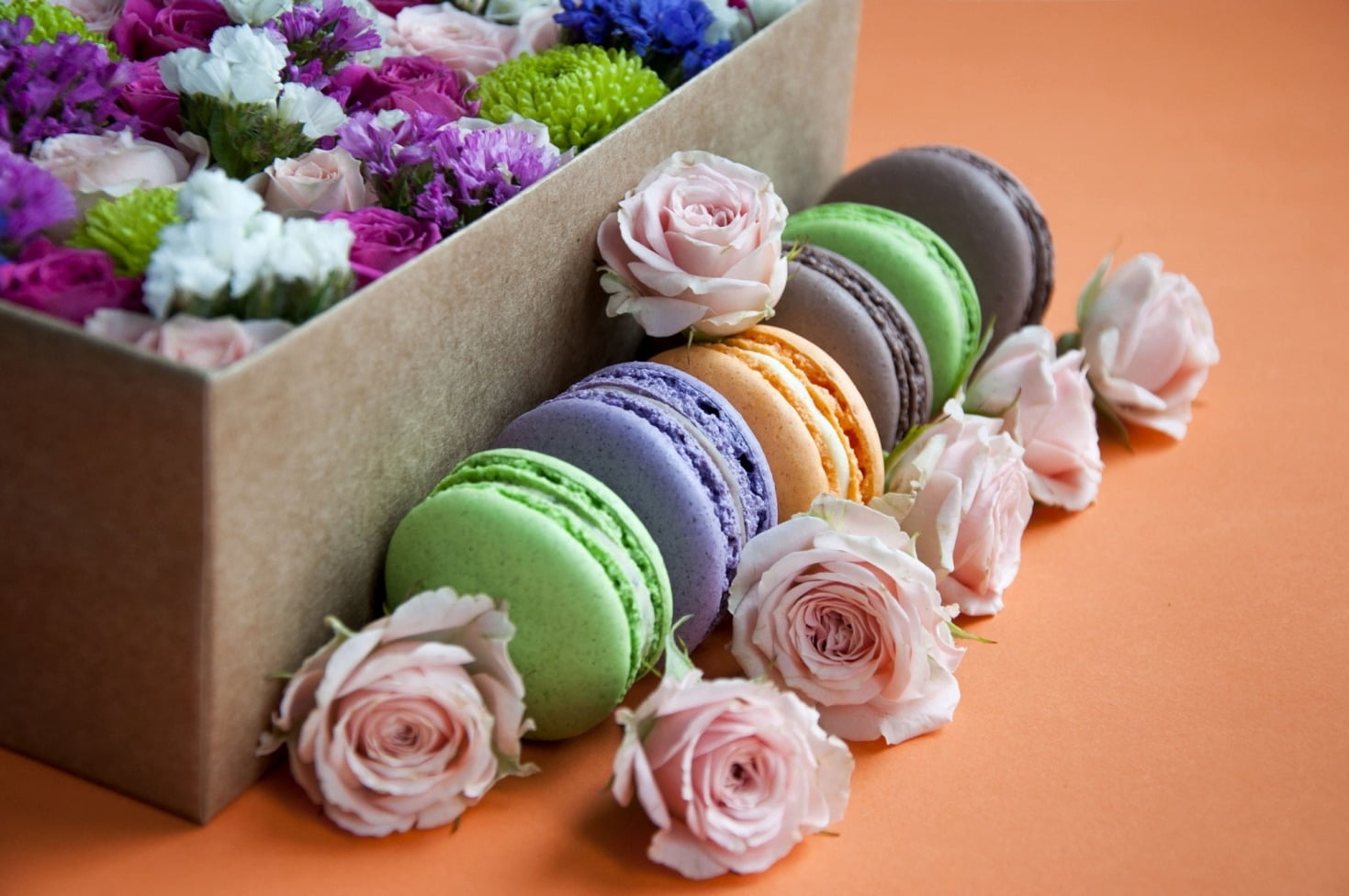 no people, box - container, ornate, trandafir, nature, cookie, 720P, Macarons and roses, dessert, choice, flowering plant, plant, box, rose, temptation, HD Wallpaper