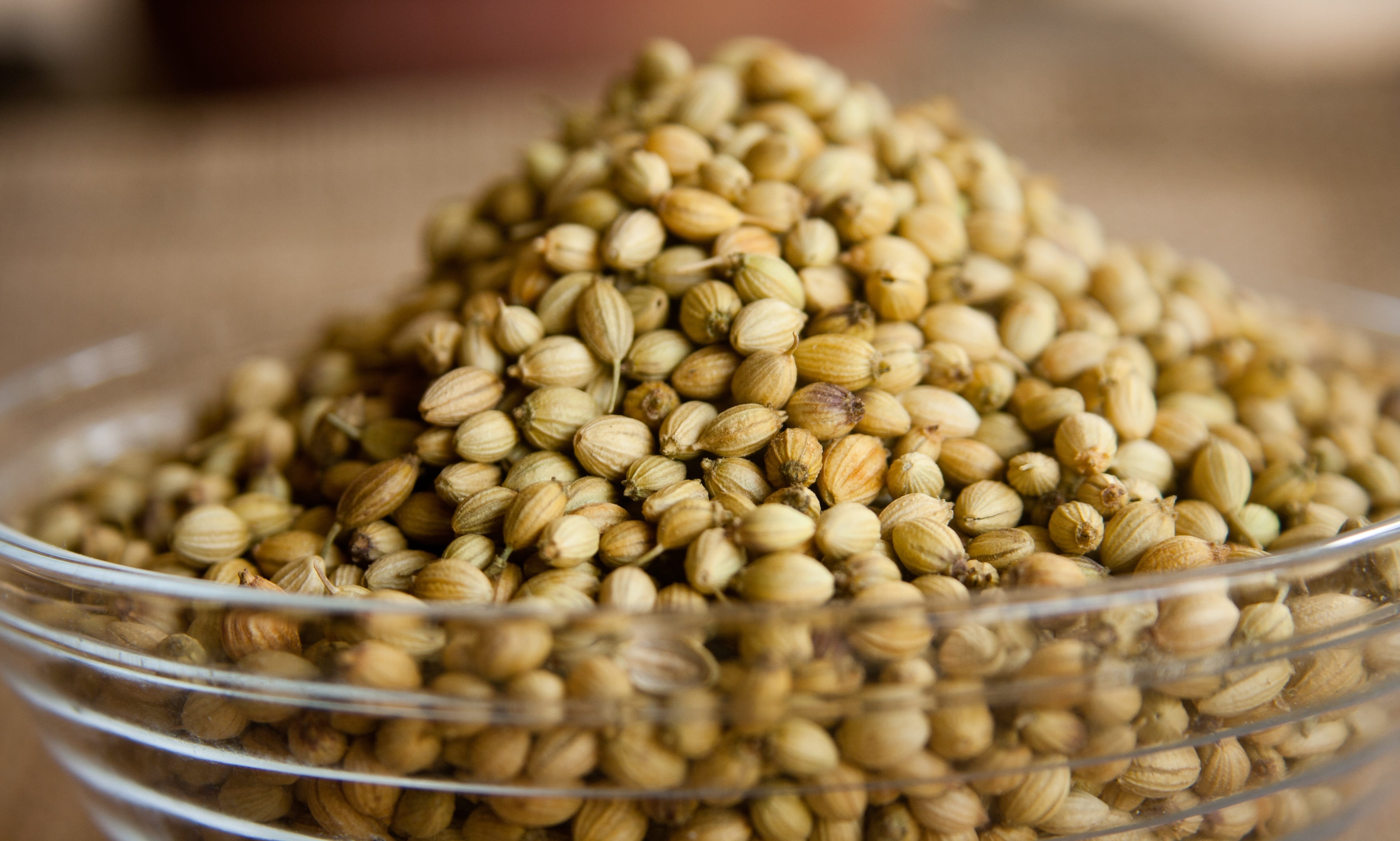 aromatic, 2K, indian food, focus on foreground, crop, vegetarian food, ingredient, heap, nature, flavour, coriander, freshness, nutrition, large group of objects, HD Wallpaper