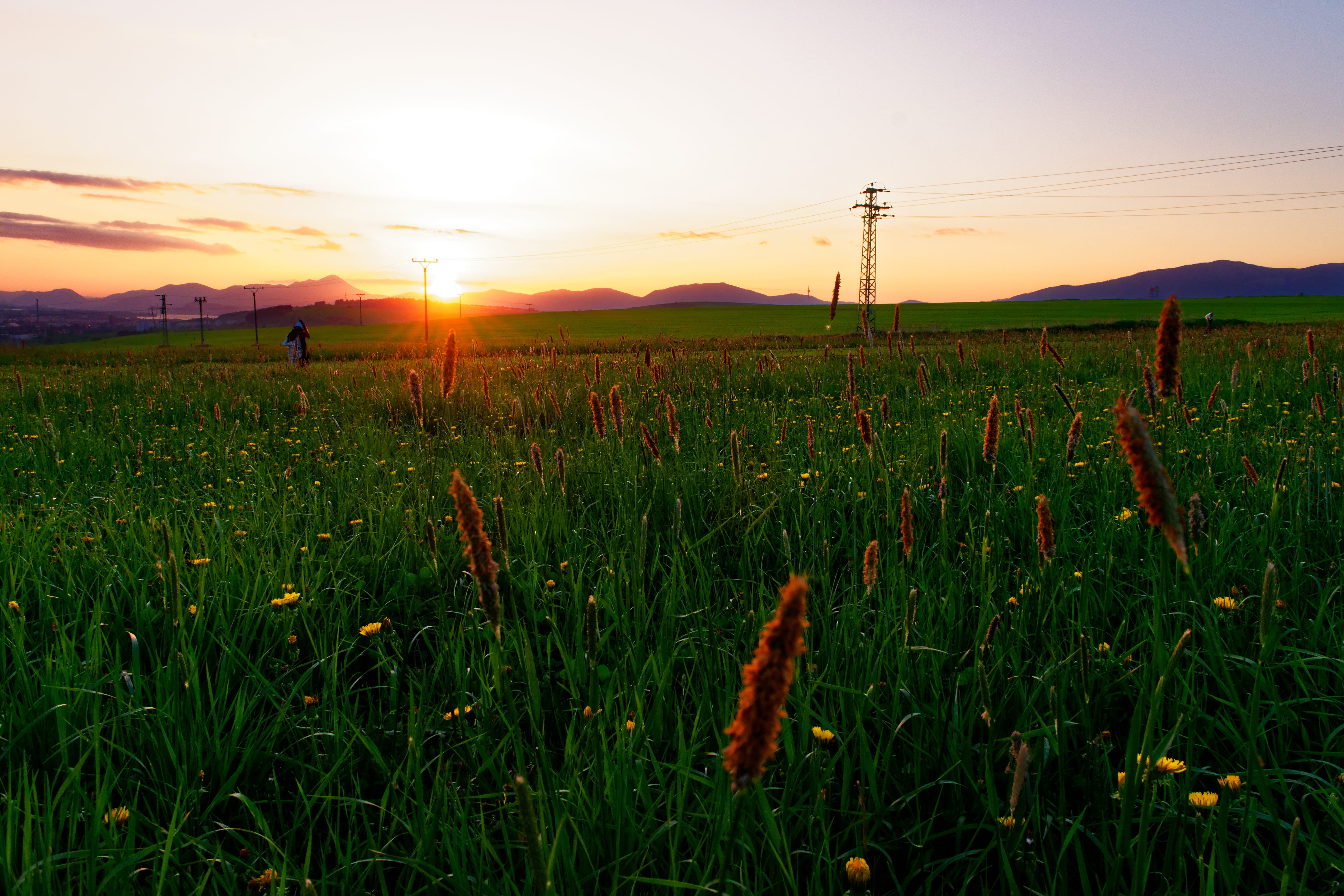 outdoors, growth, sunset, west, nature, the sky, tranquility, country, agriculture, liptov, 5K, scenics - nature, land, crop, flowers, rural scene, sky, HD Wallpaper