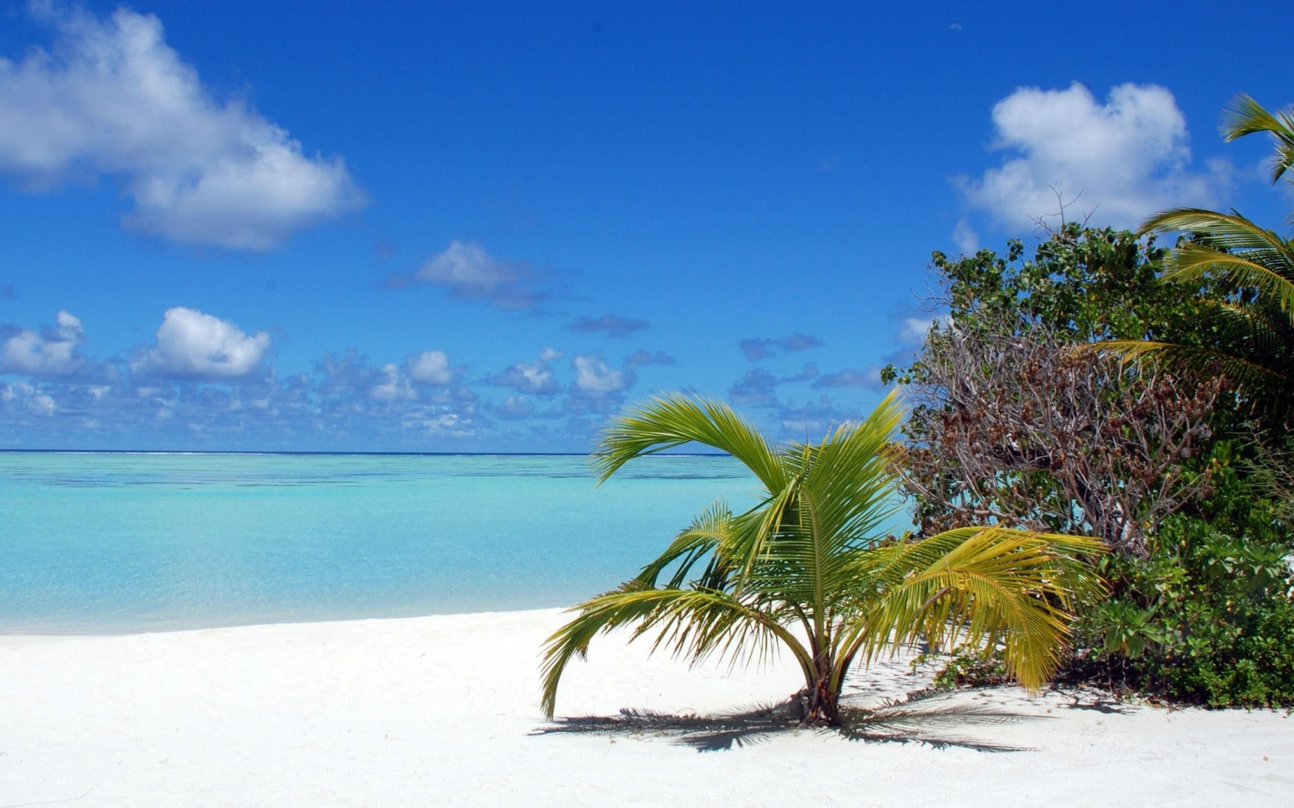 tourism, island, land, tourist Resort, outdoors, exoticism, beach, tranquil Scene, palm leaf, turquoise Colored, sand, scenics - nature, cloud - Sky, photography, HD Wallpaper