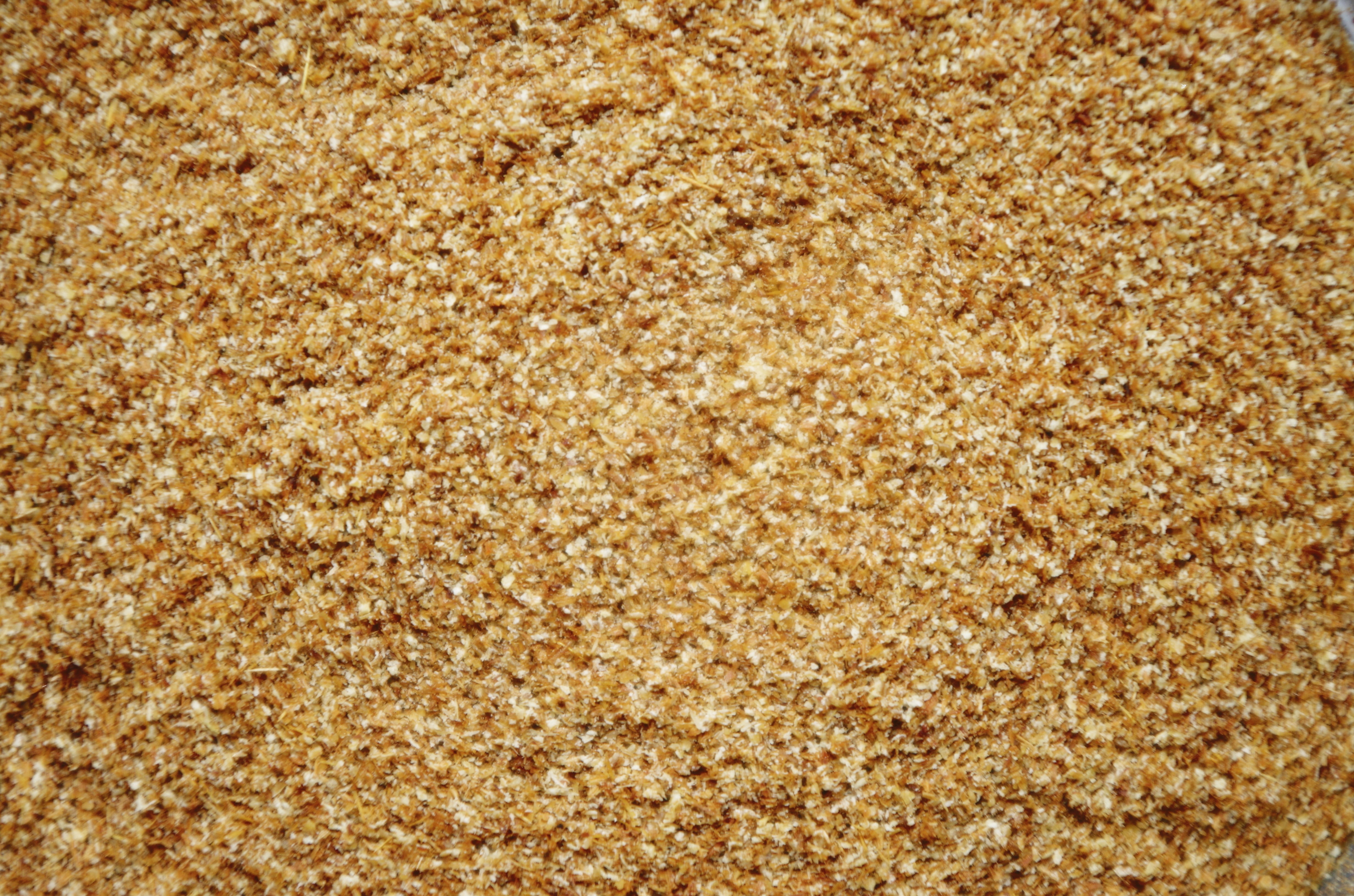 large group of objects, particle, oats - food, breakfast, spice, close-up, freshness, 4K, brown sugar, pepper, cumin, studio shot, no people, ground cumin, HD Wallpaper