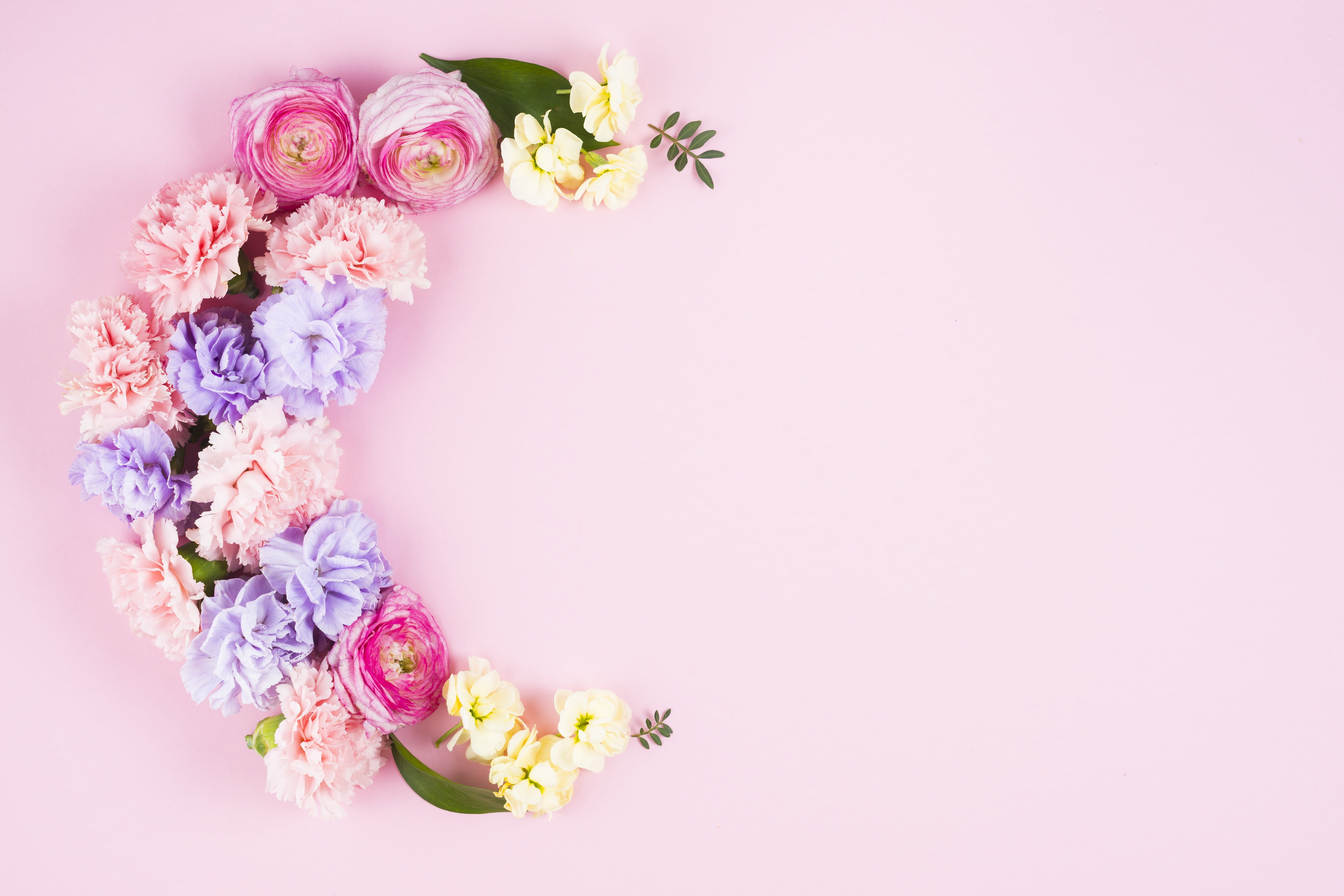 roses, clove, fresh, 4K, flowers, composition, buds, background, leaves, pink, violet, HD Wallpaper