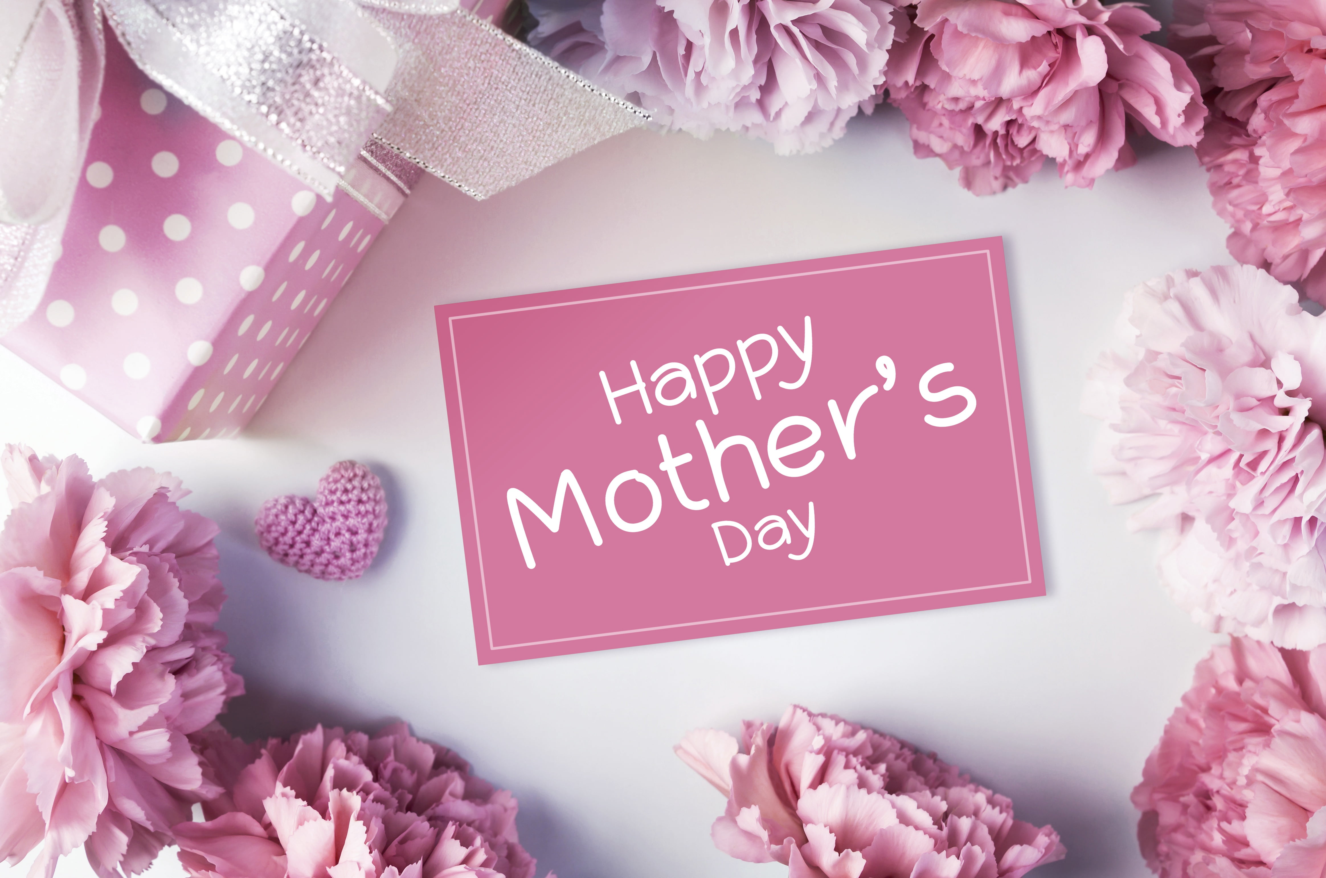 flowers, carnation, gift, love, clove, mothers day, 4K, romantic, hearts, pink, beautiful, happy, HD Wallpaper