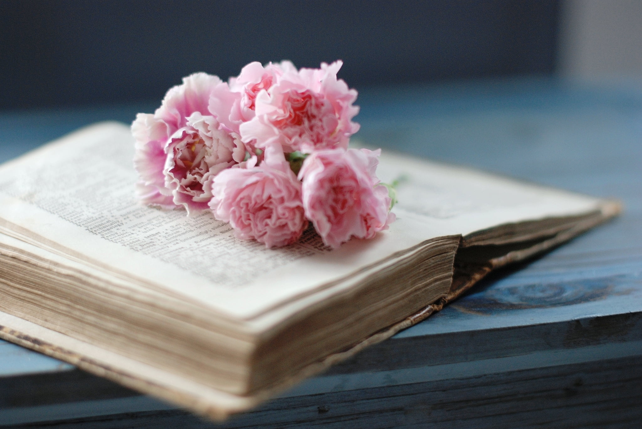 wood - Material, love, fragility, book, plant, backgrounds, literature, old, wedding, pink Color, paper, flowers, table, no People, reading, beauty in nature, HD Wallpaper