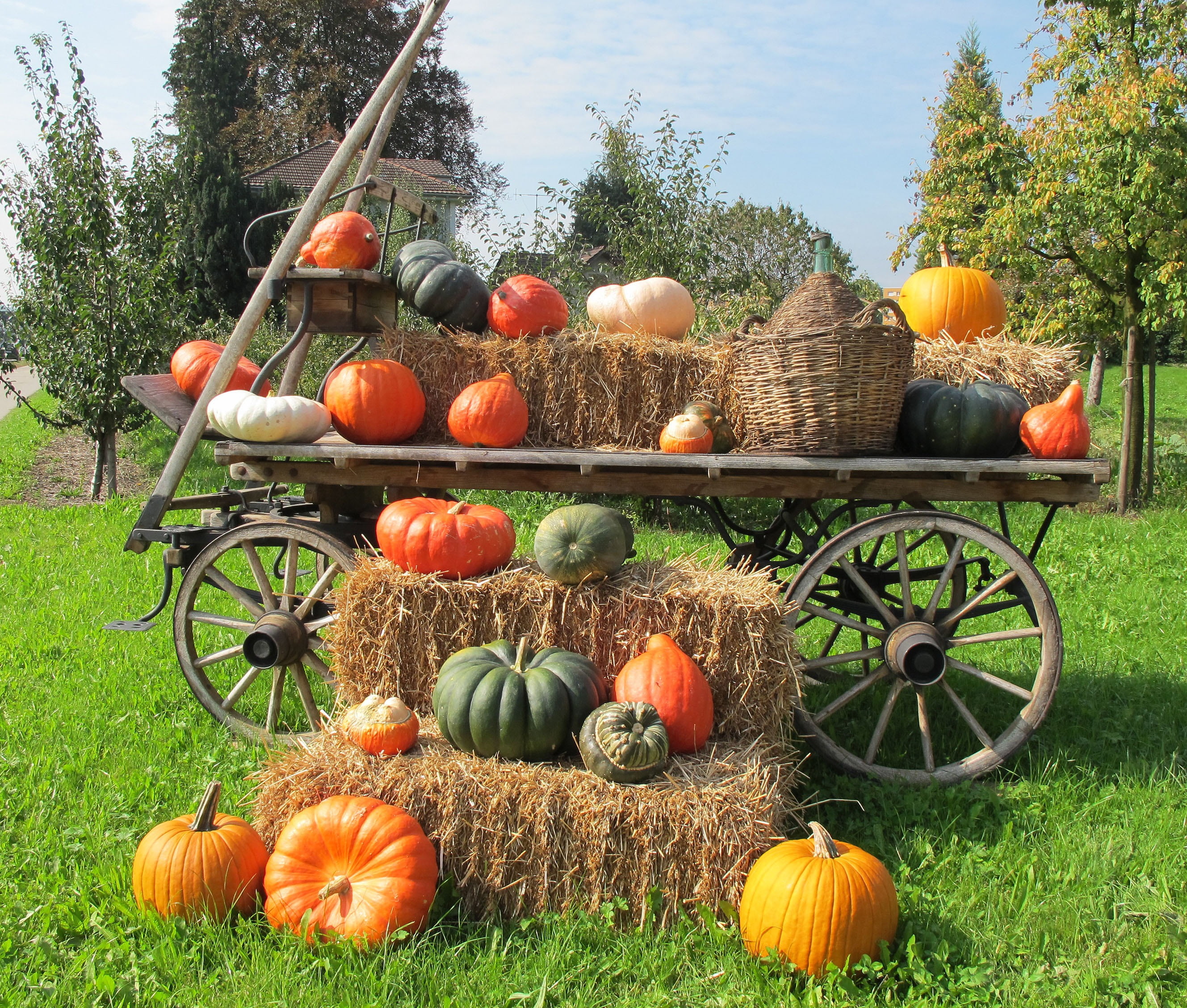 celebration, no people, harvest, freshness, food, carriage, grass, season, plant, autumn, pumpkin, brown, pumpkins, food and drink, outdoors, hay, vegetable, HD Wallpaper