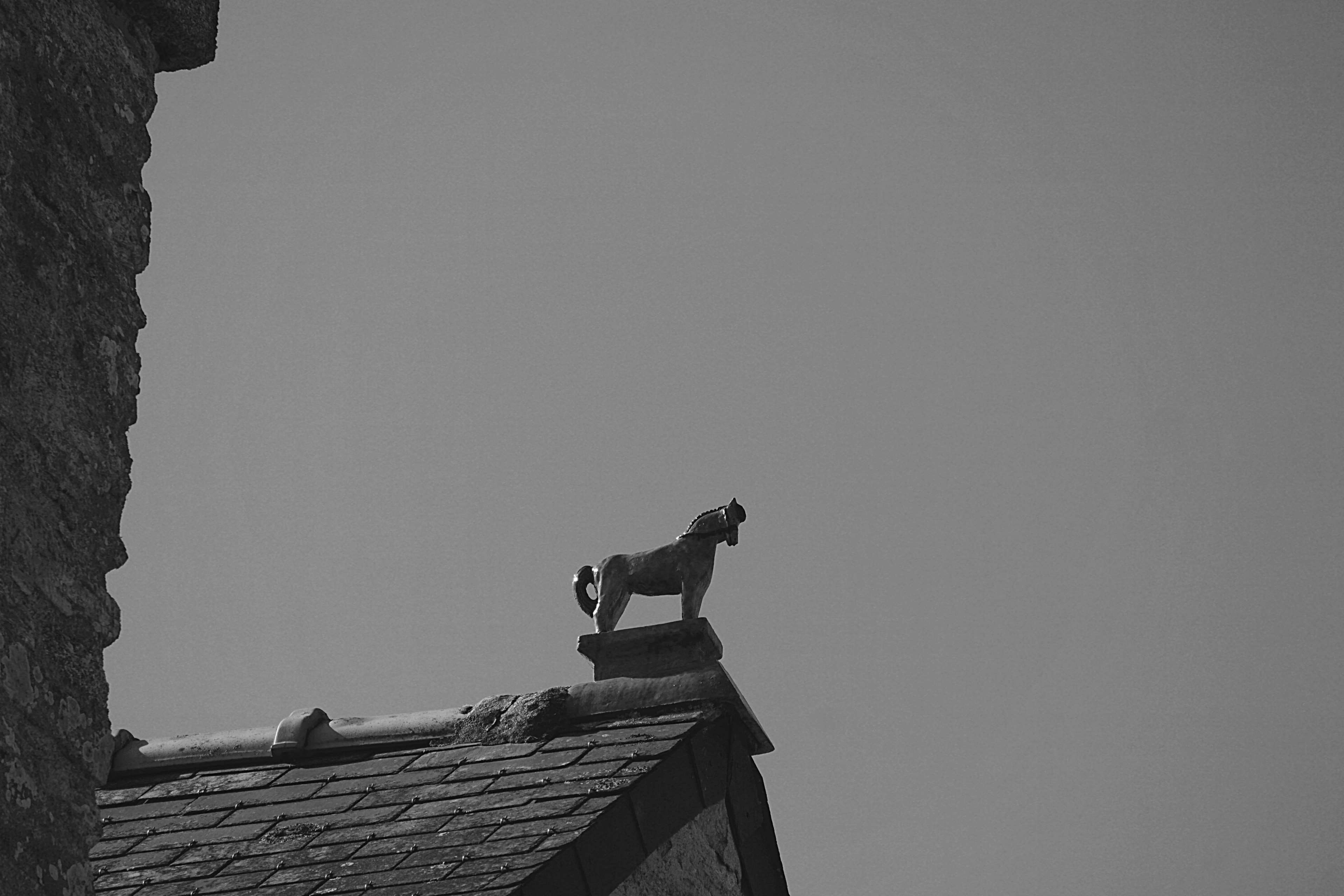 day, vertebrate, nature, built structure, belief, low angle view, toits, maison ancienne, 4K, sculpture, architecture, ancienne boucherie, spirituality, HD Wallpaper