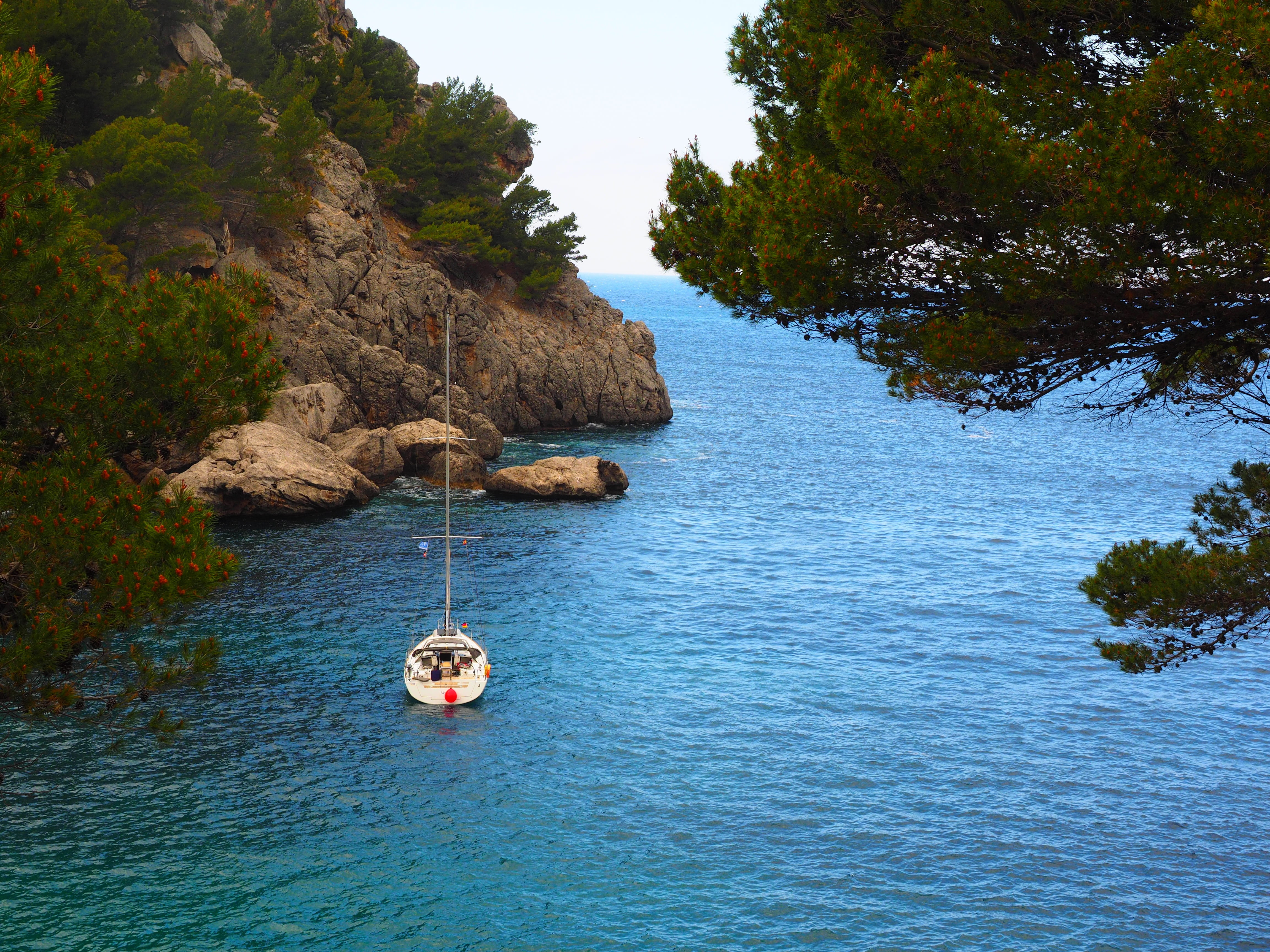 cala de sa calobra, cases de sa calobra, sea, natural wonders, sa calobra, outdoors, beauty in nature, cliff, tree, high angle view, water, boat, tranquil scene, HD Wallpaper