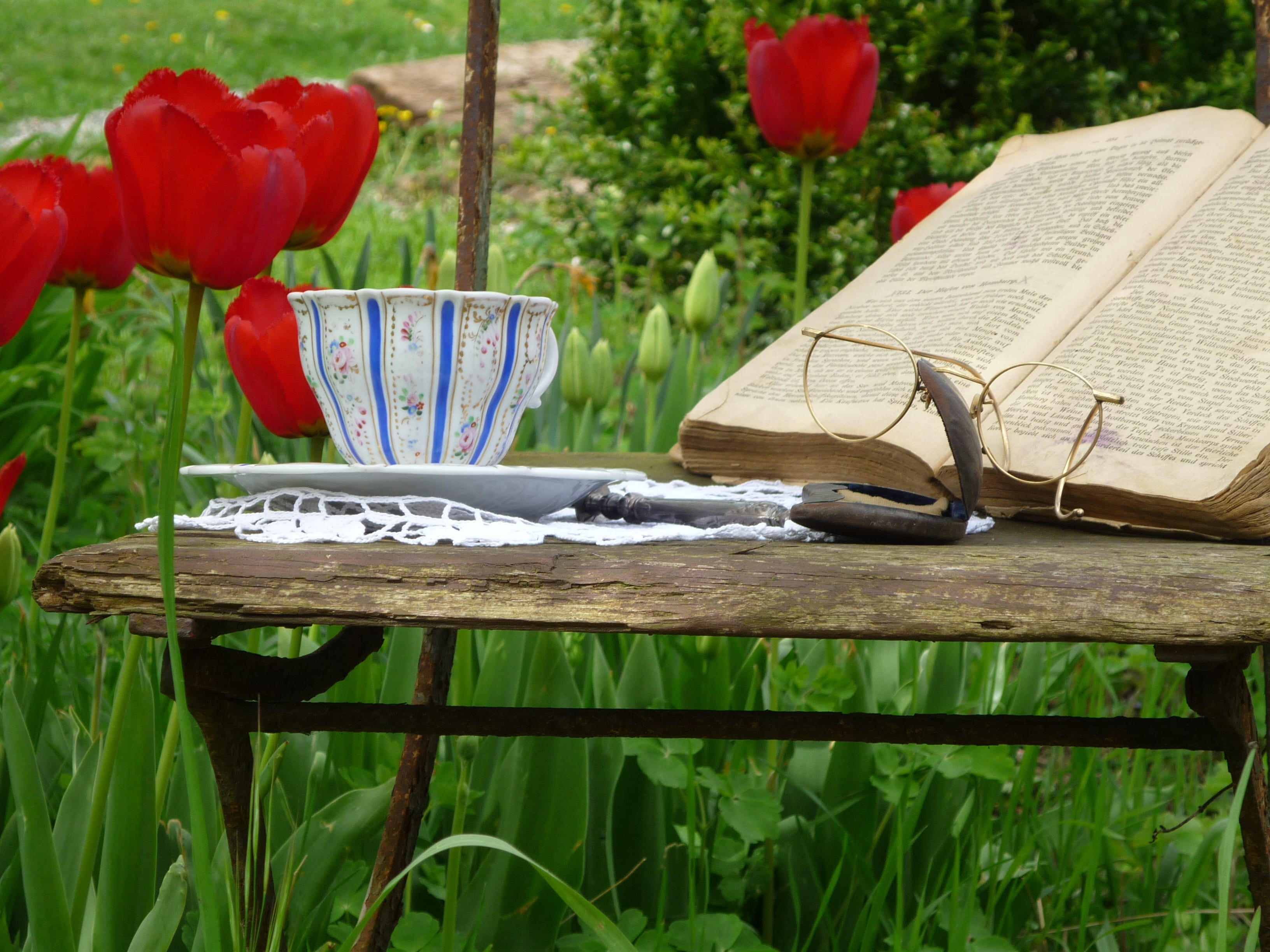 book, mug, teacup, coffee, seat, builds, porcelain, freshness, 2K, old chair, antique, glasses case, tulips, green color, wood - material, cup, food and drink, HD Wallpaper