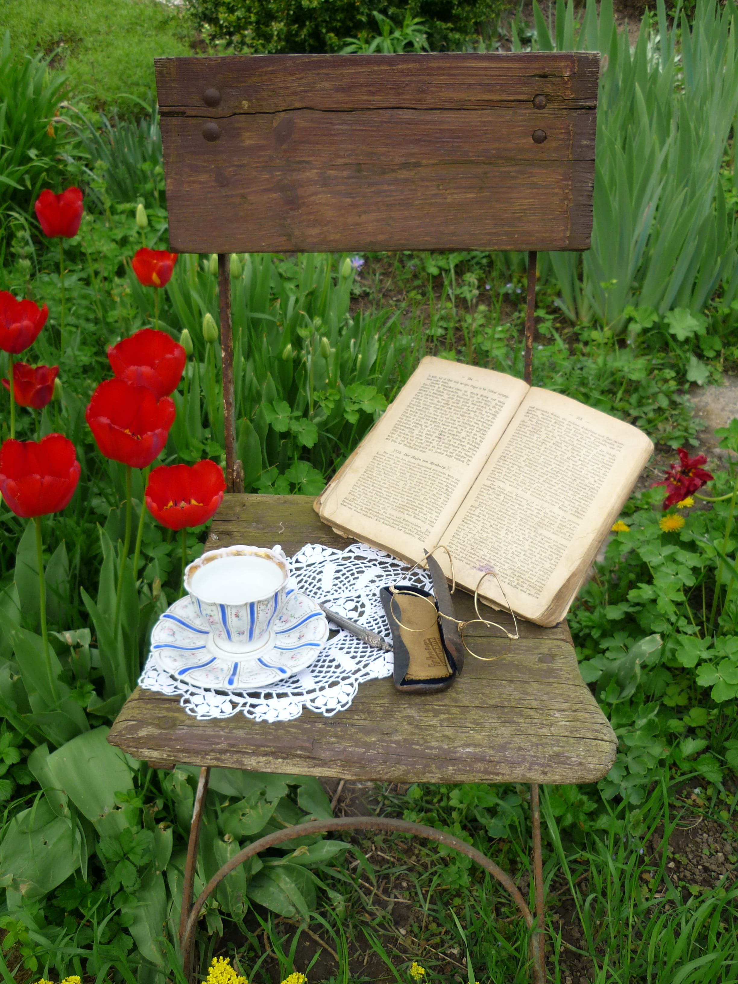 book, outdoors, leaf, read, freshness, day, old chair, tulips, high angle view, green color, glasses case, top, flowering plant, plant part, wood - material, Phone HD Wallpaper