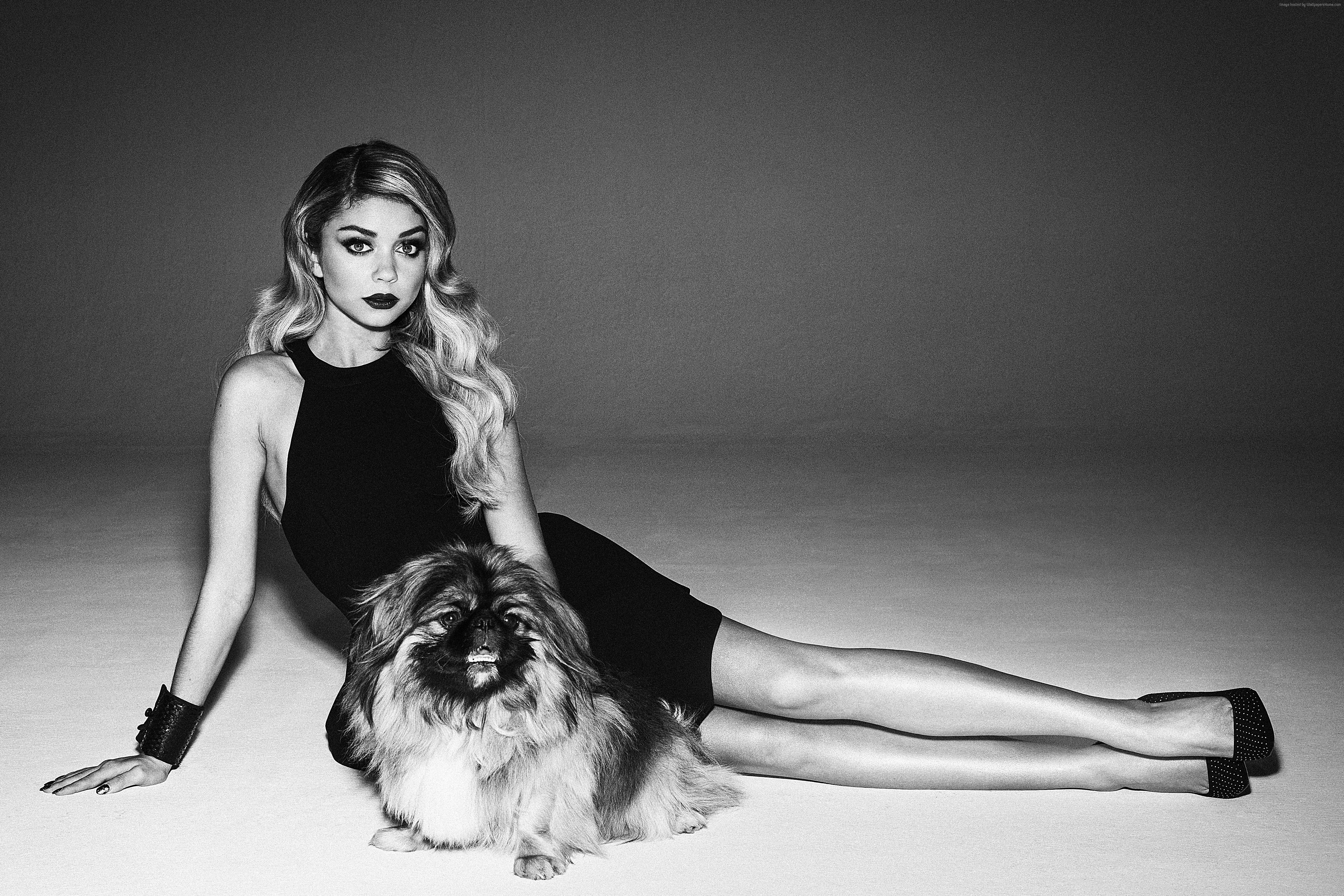photo, dog, 5k, 4K, Sarah Hyland, HD Wallpaper