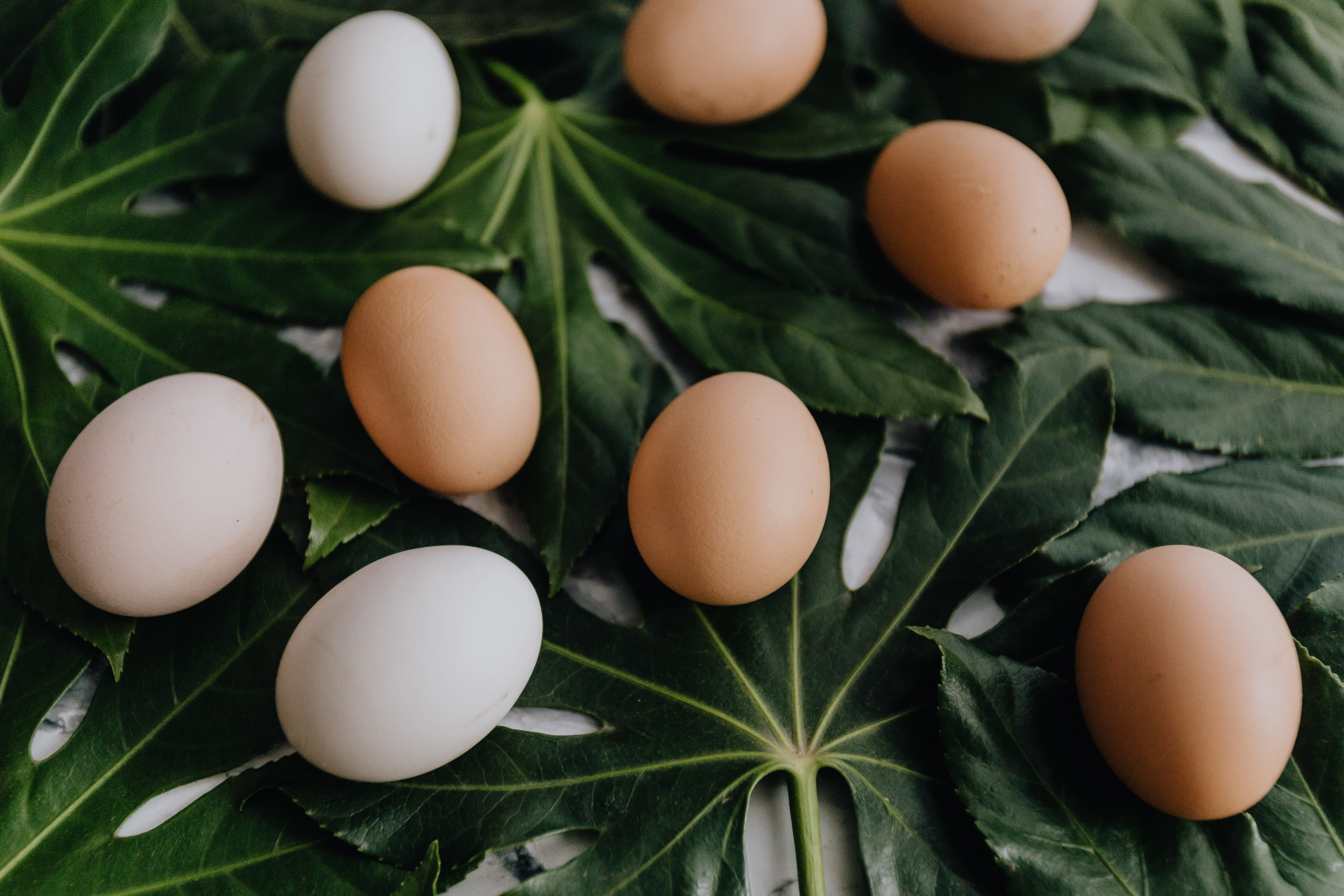 healthy eating, leaf, egg, ingredient, easter, eggs, food and drink, group of objects, organic, food, wellbeing, above, easter egg, nature, flatlay, celebration, HD Wallpaper