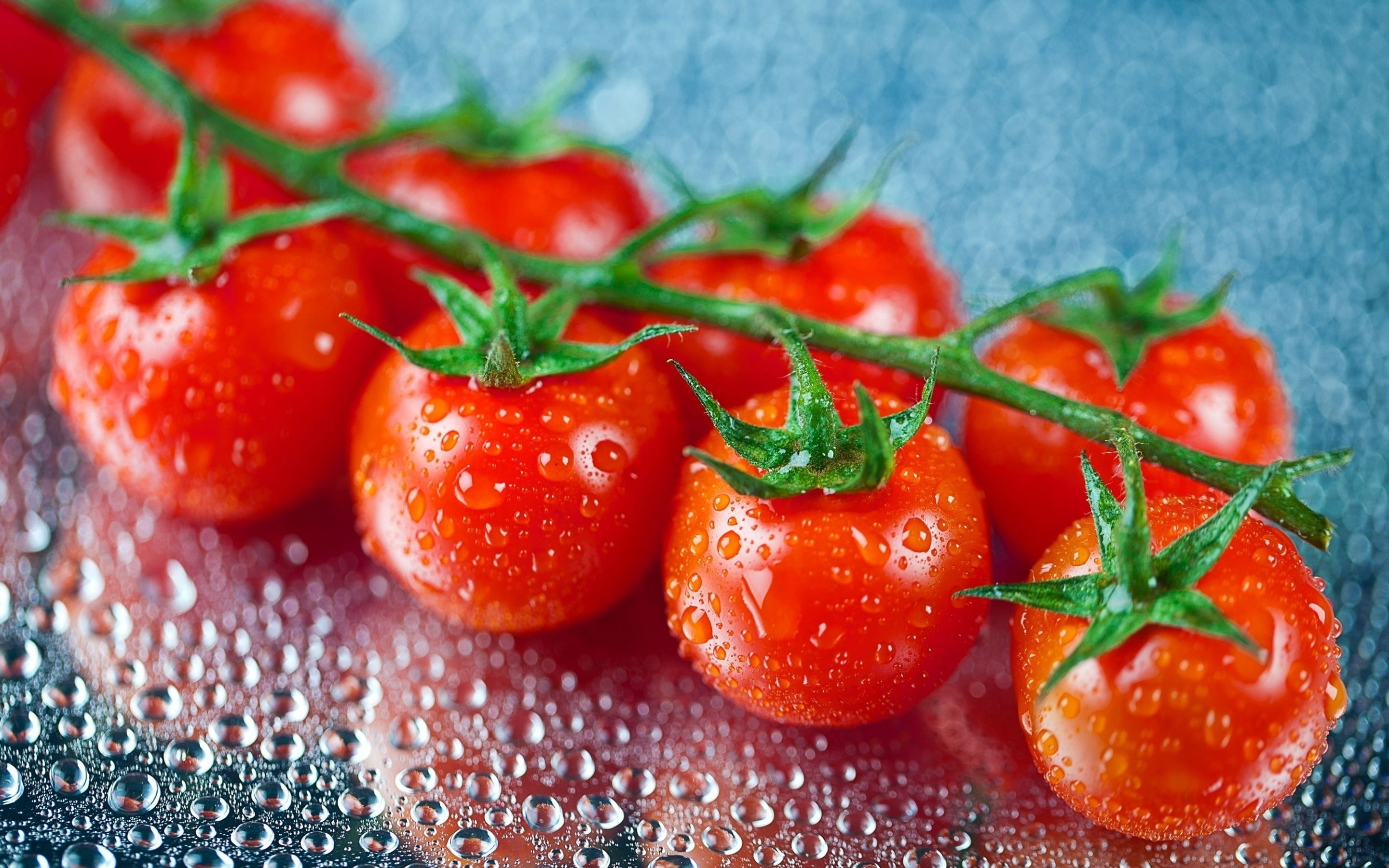 2K, water drops, vegetables, tomatoes, fresh, food, cherry, HD Wallpaper