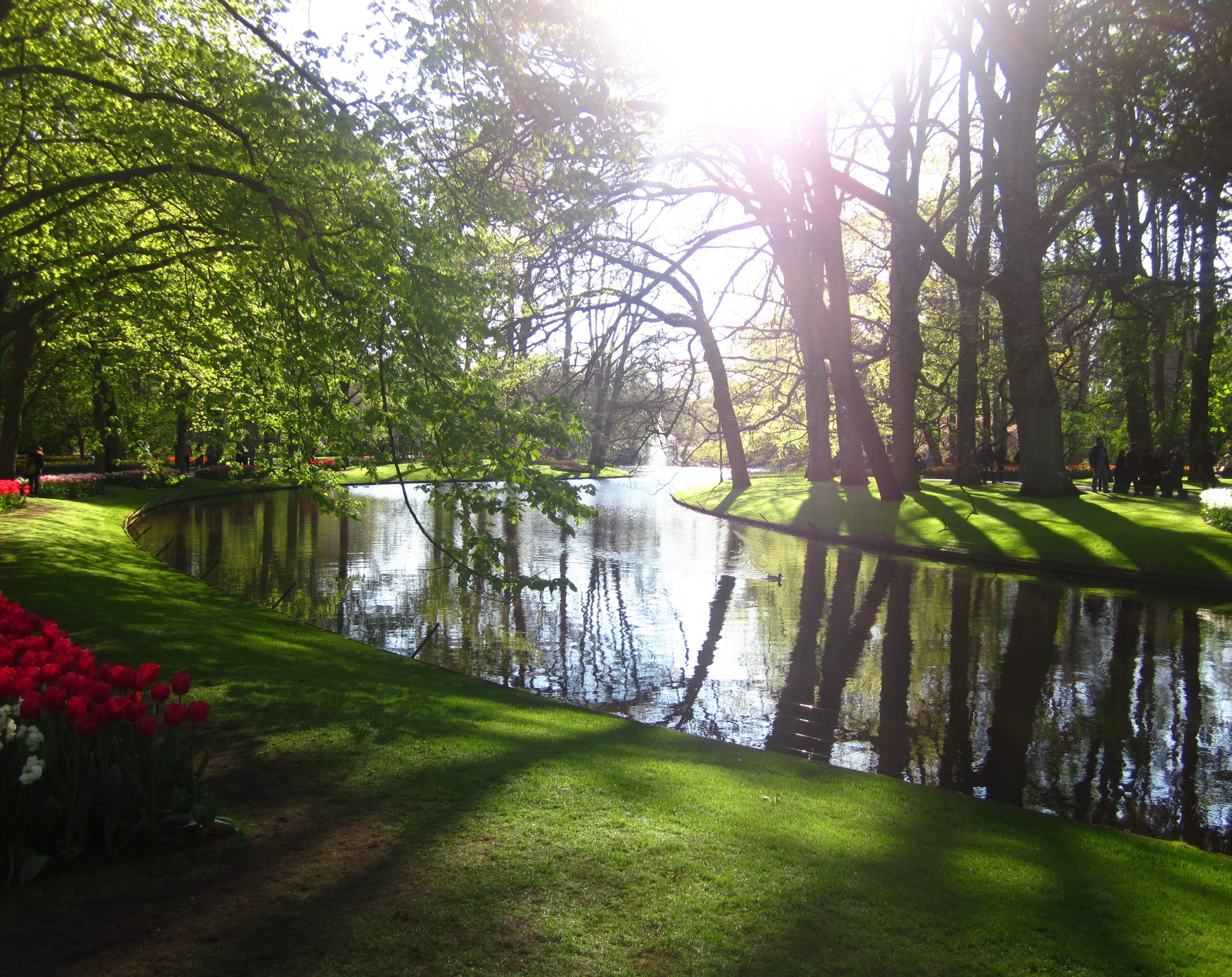 green color, lake, growth, water, green park, Nature, 2K, white, sun, scenics - nature, Landscape, hd, sunlight, park, reflection, green, land, HD Wallpaper