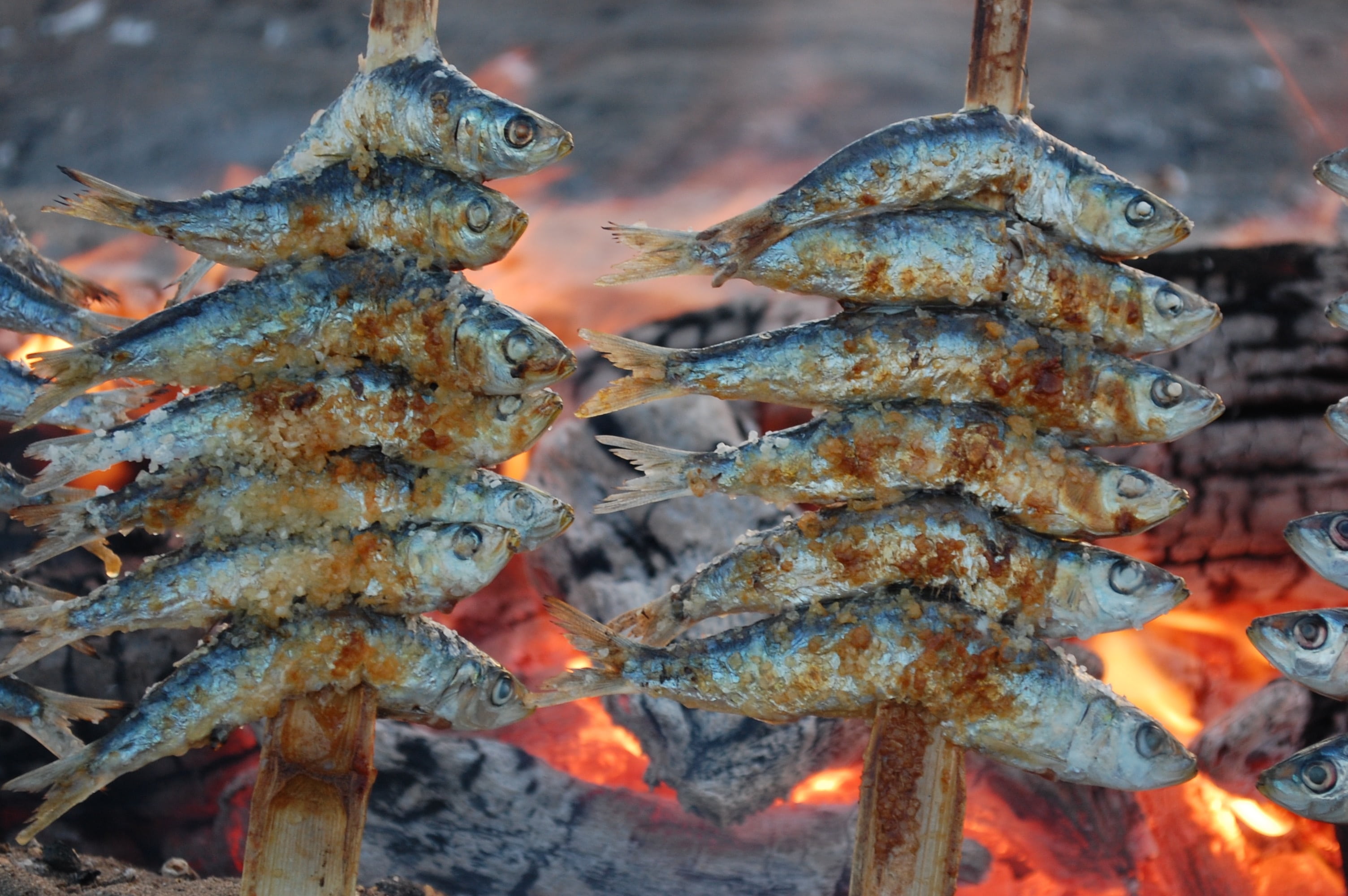 asian food, costa del sol, malaga, abundance, focus on foreground, marbella, day, food, andalusia, hanging, close-up, sardines, heat - temperature, healthy eating, HD Wallpaper