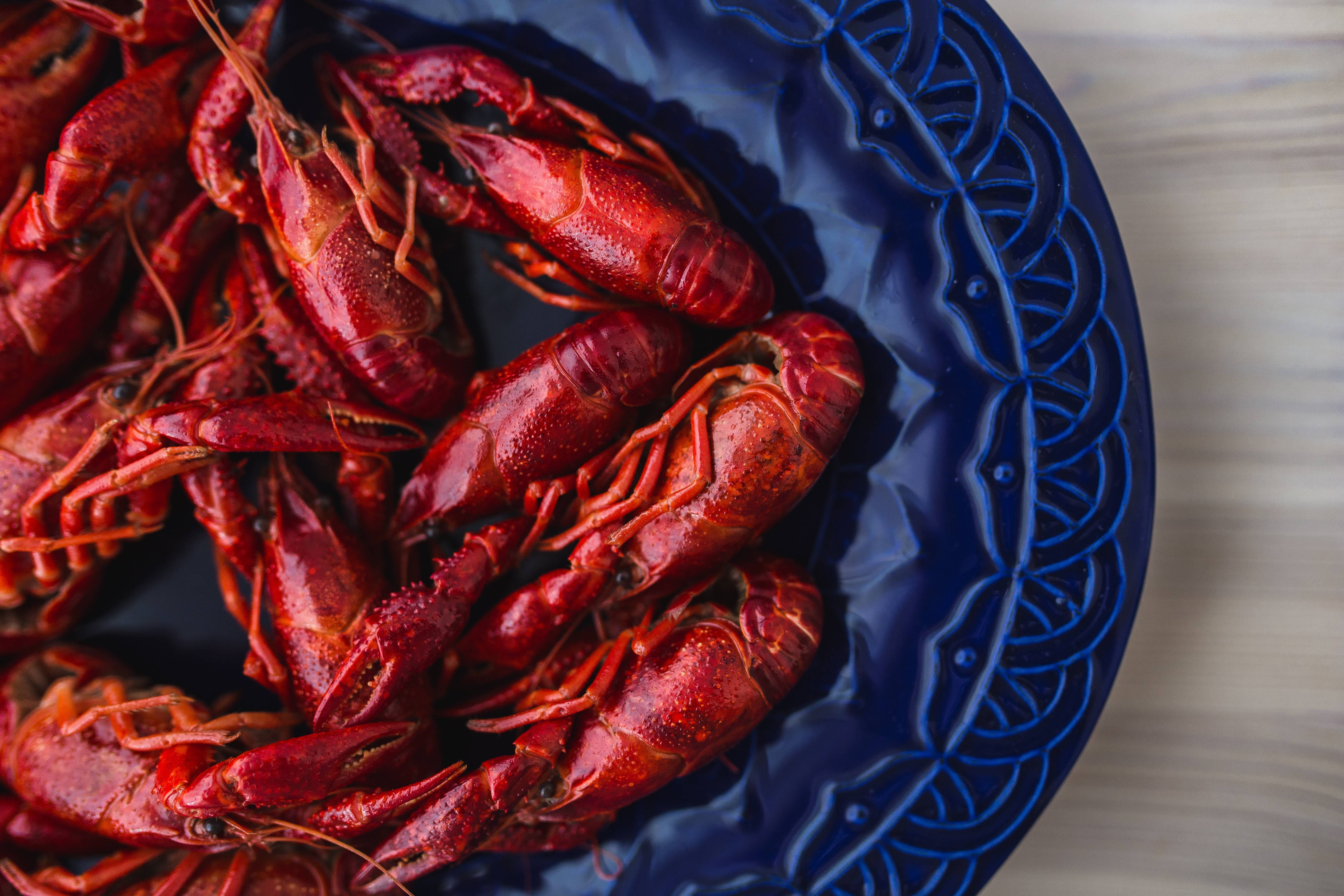 textile, table, food, no people, freshness, ready-to-eat, healthy Eating, tasty, red, raw Food, backgrounds, wellbeing, close-up, vegetable, Crayfish, blue, HD Wallpaper