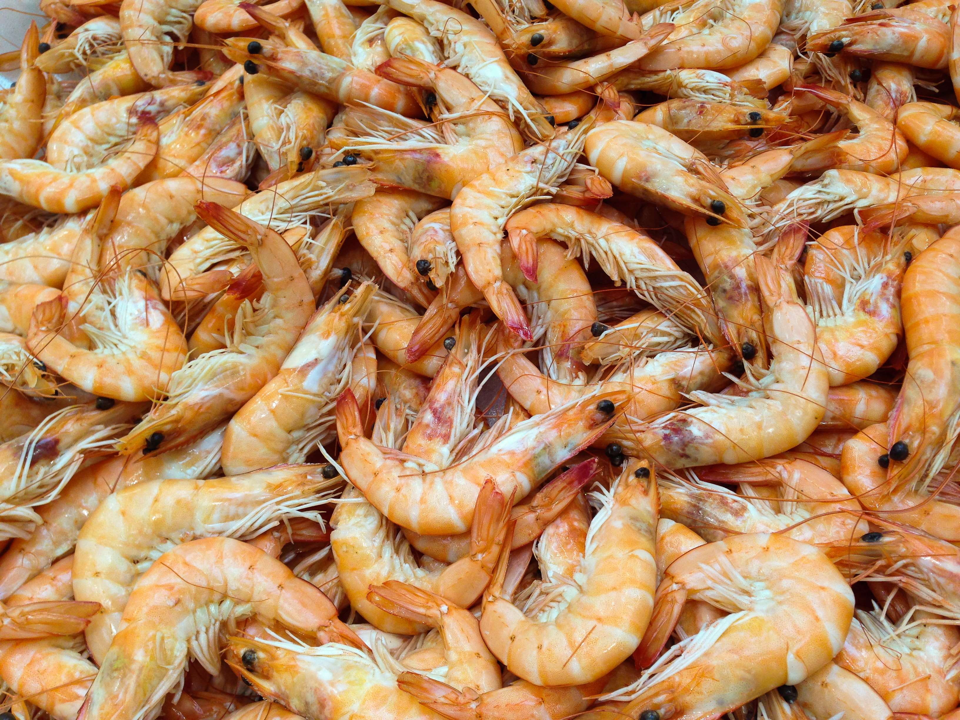 retail, shellfish, fish, food, market, still life, seafood, abundance, healthy eating, wellbeing, crustacean, retail display, full frame, raw food, shrimp - seafood, HD Wallpaper