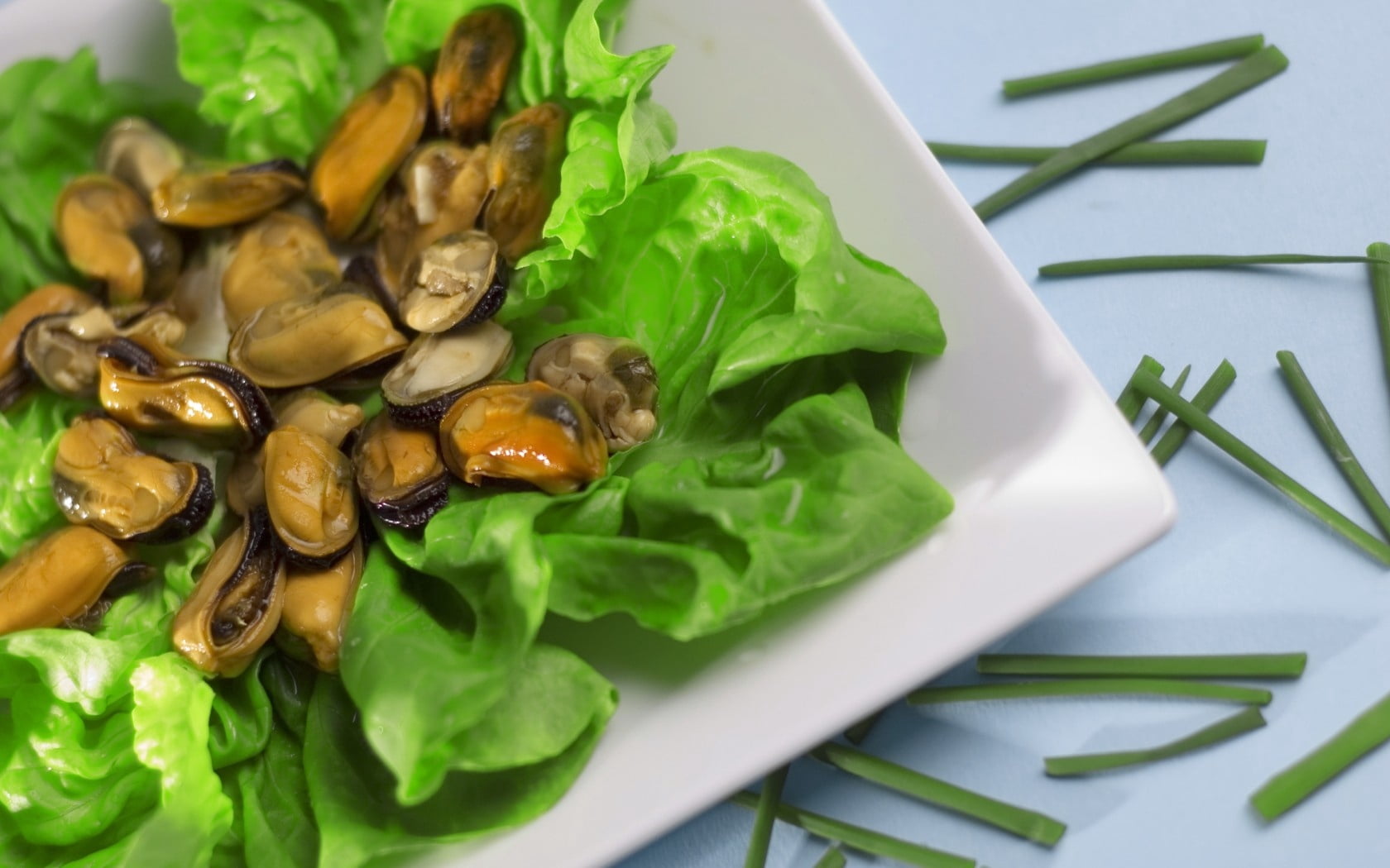 vegetarian food, freshness, leaf vegetable, indoors, table, lettuce, dish, green color, snack, ready-to-eat, mussels, high angle view, leaves, no people, HD Wallpaper