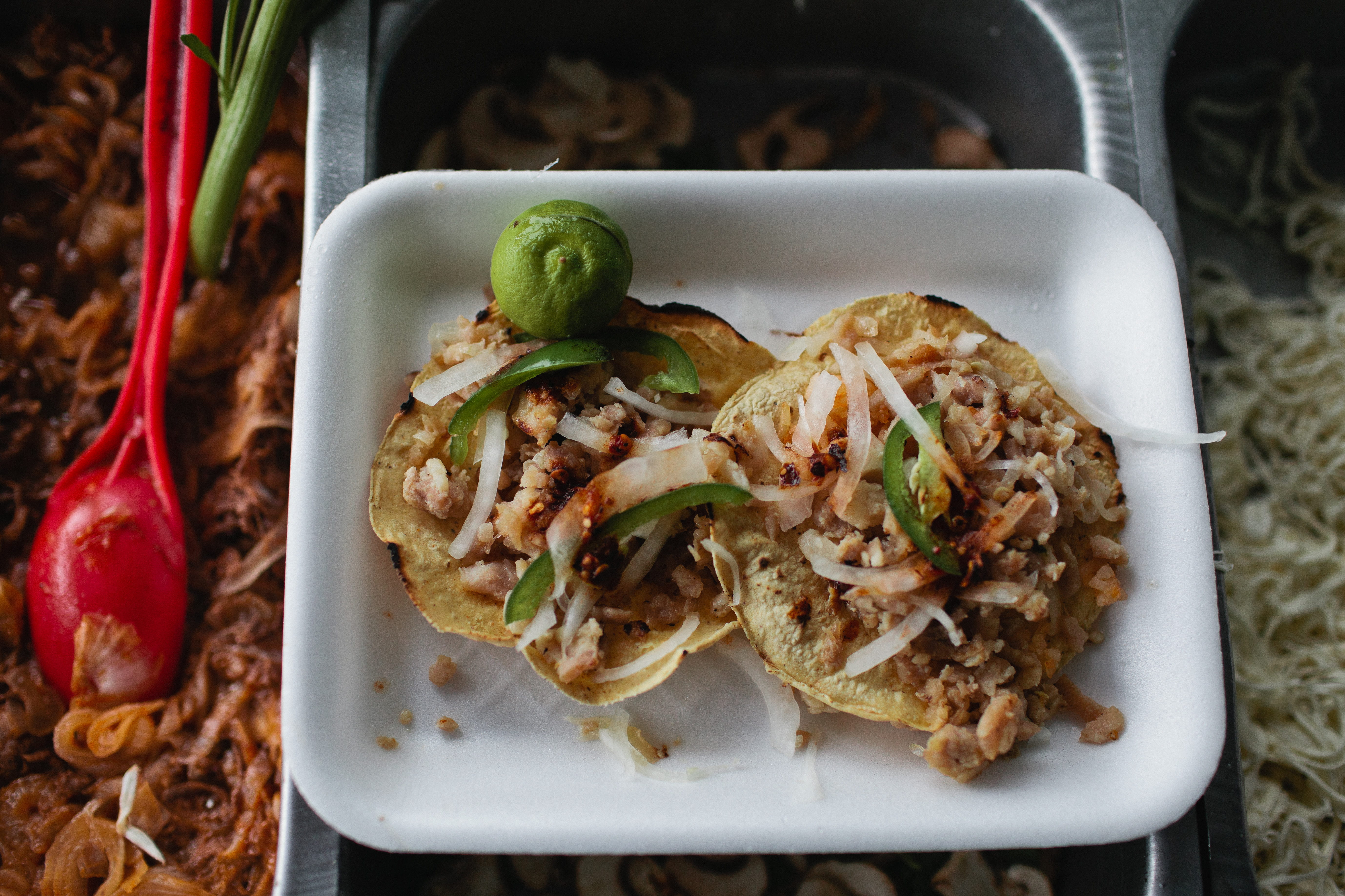 indoors, asian, white meat, close-up, freshness, meat, food, chopped, tortilla - flatbread, meal, fruit, directly above, vegetable, indulgence, chicken meat, HD Wallpaper