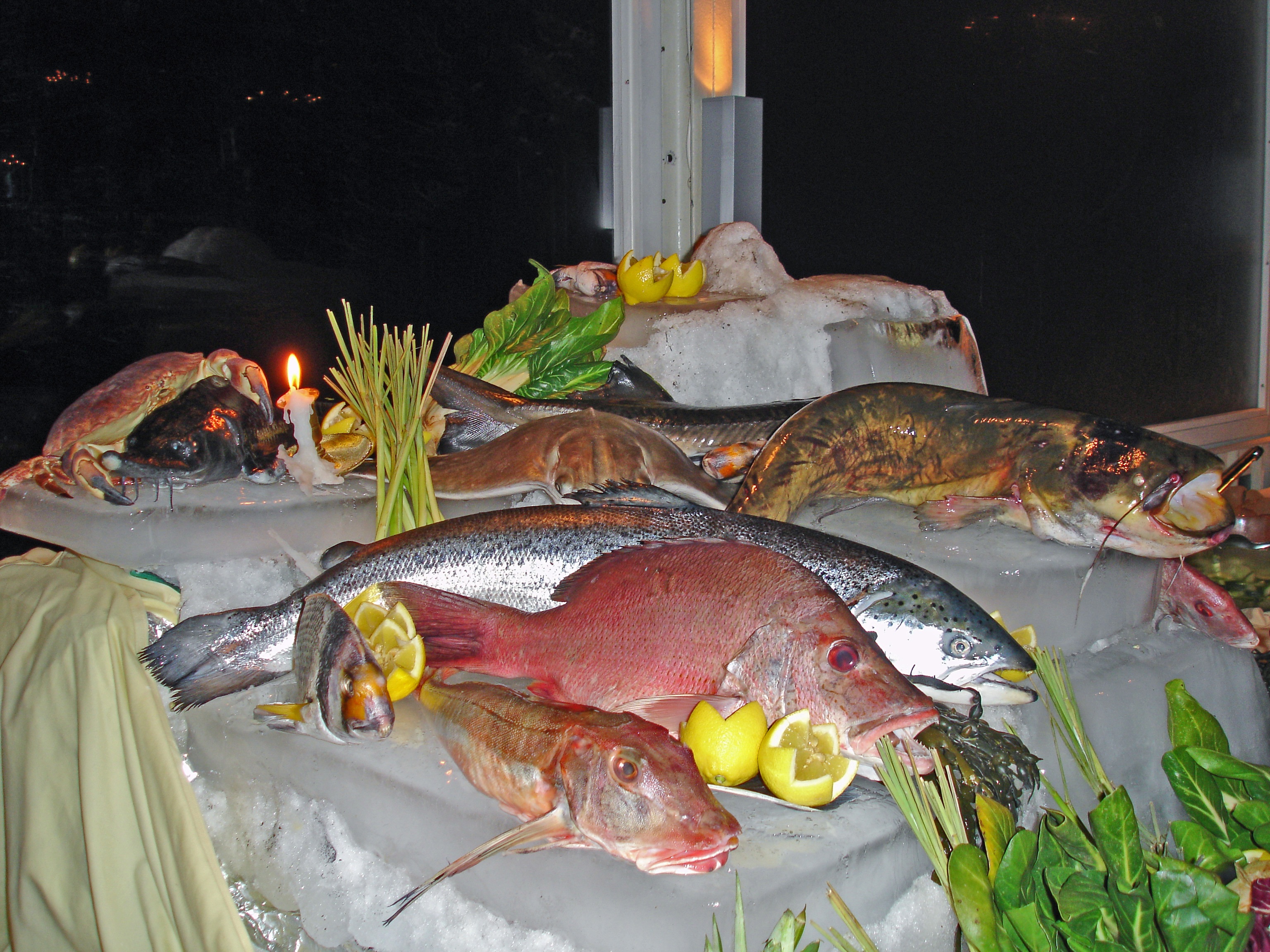 fish, healthy eating, protein, sea bream, raw food, no people, food, healthy, gilthead, frisch, vertebrate, retail, wels, indoors, ice, meal, waller, lobster, HD Wallpaper