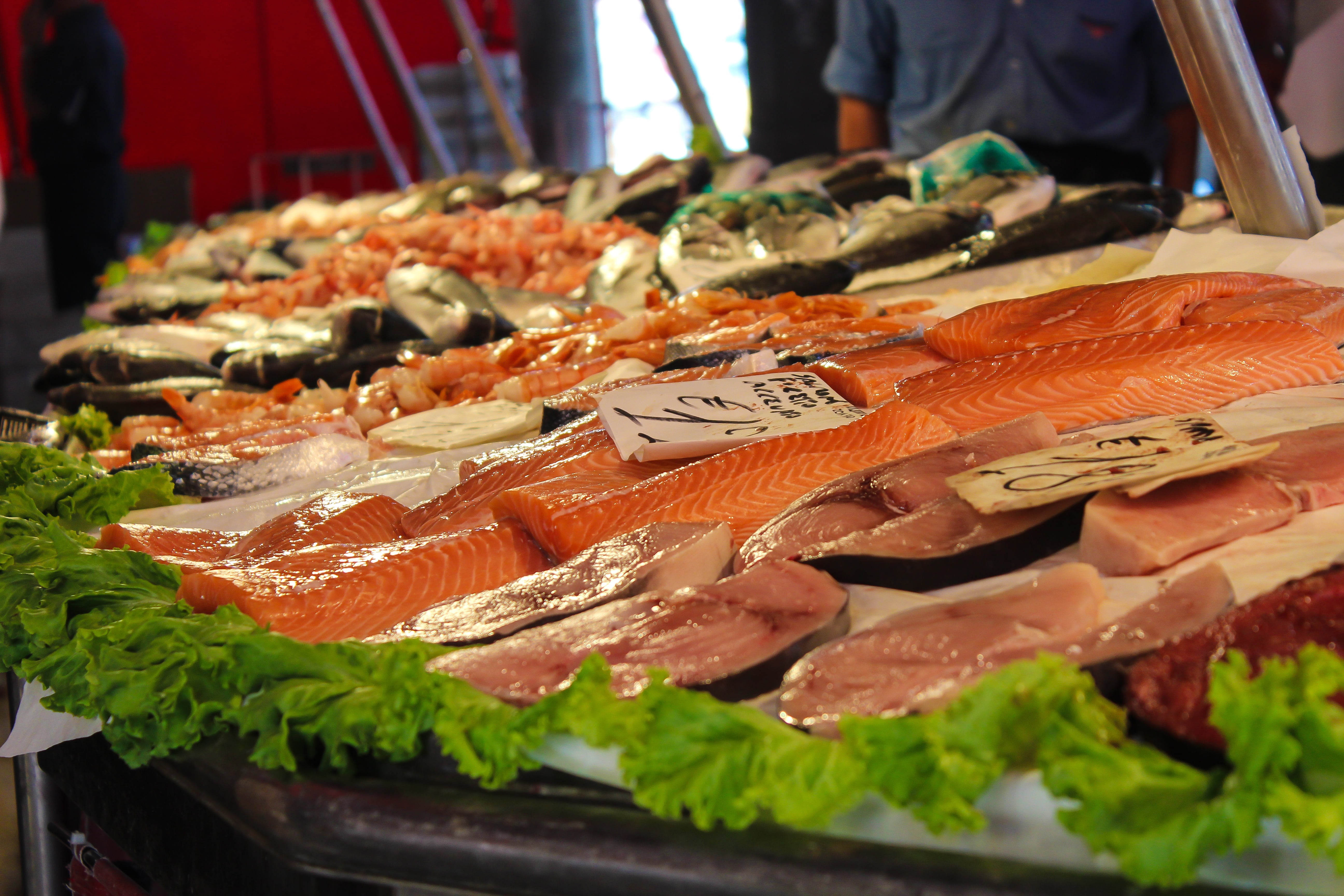 prepared Fish, raw, fish stand, mediterranean, stall, for sale, business, sale, frisch, 5K, sea, choice, wellbeing, display, salmon, fish, store, fish oil, HD Wallpaper