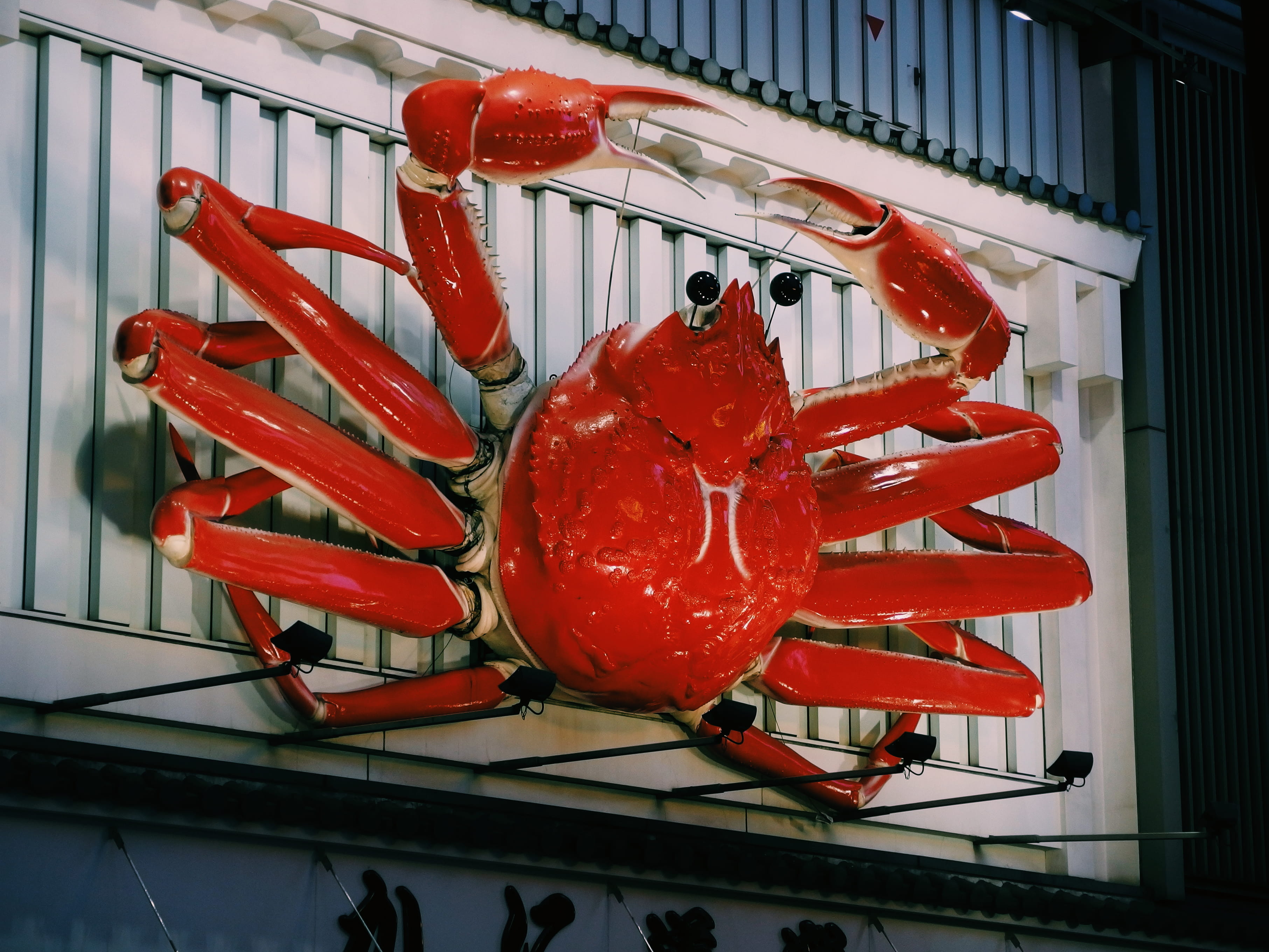 day, food and drink, electronics, red, architecture, invertebrate, freshness, decor, vehicle, indoors, crab, inflatable, hanging, animal, built structure, HD Wallpaper