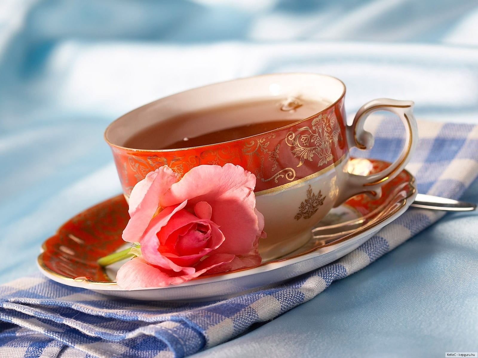 morning, nature, rose, pink, flowering plant, breakfast, mug, saucer, textile, indoors, rose - Flower, hot drink, plant, gourmet, backgrounds, crockery, HD Wallpaper