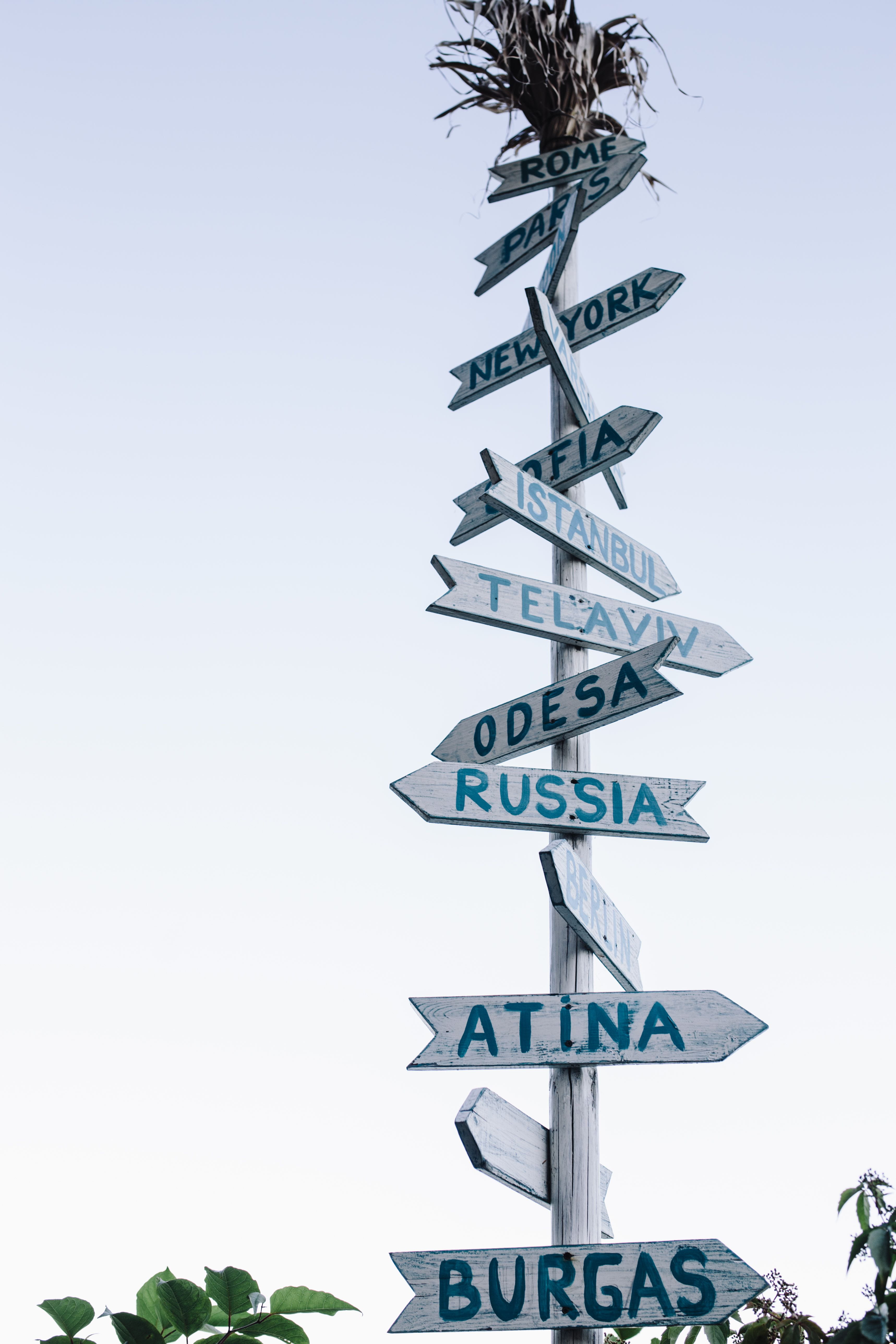 tree, day, currency, clear sky, guidance, arrow symbol, Bulgaria, direction, directional sign, balkan, symbol, plant, text, western script, copy space, Phone HD Wallpaper