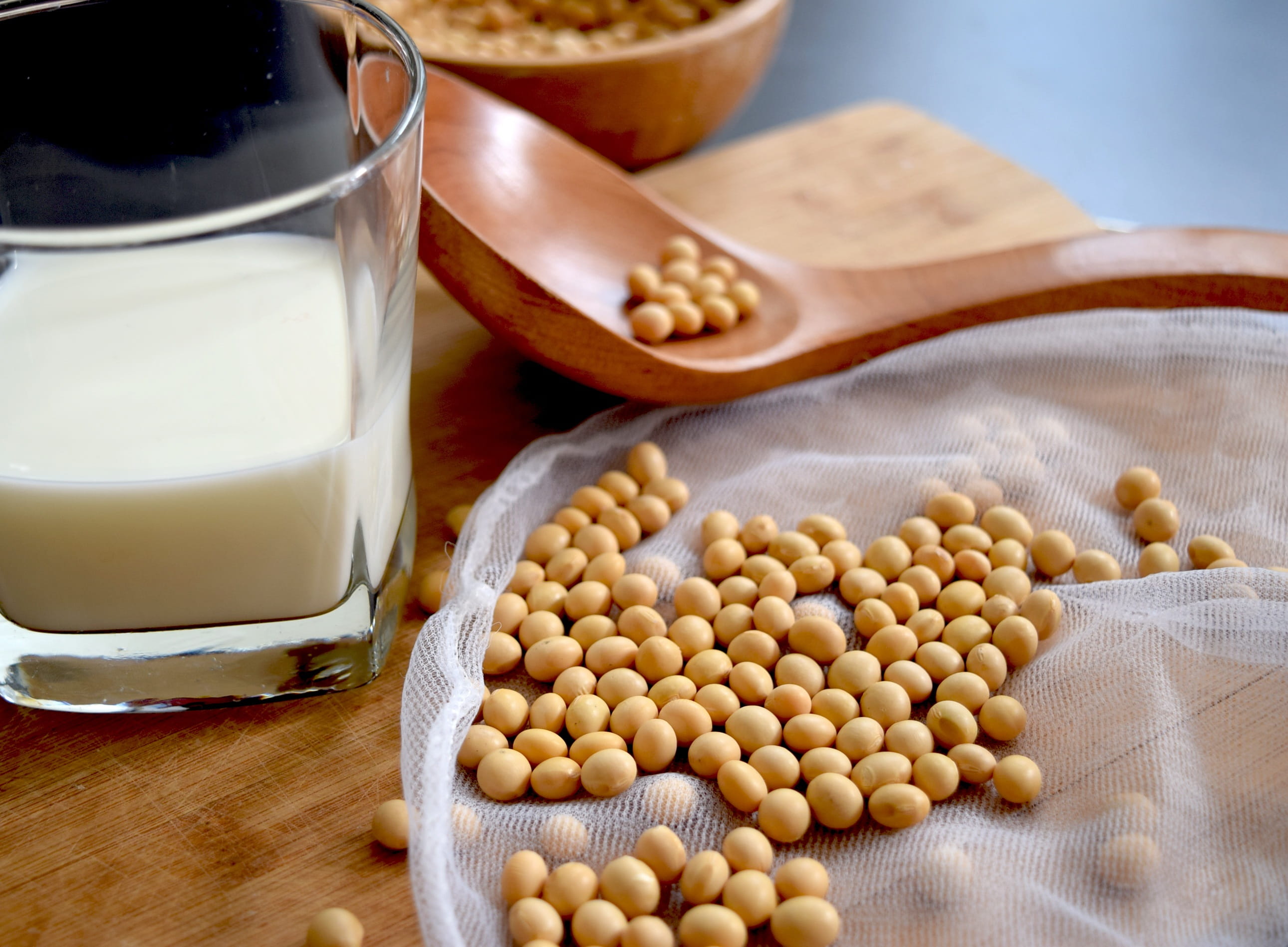 soy, milk, refreshment, food and drink, indoors, healthy eating, no people, kitchen utensil, eating utensil, household equipment, still life, Soybean, wooden spoon, HD Wallpaper