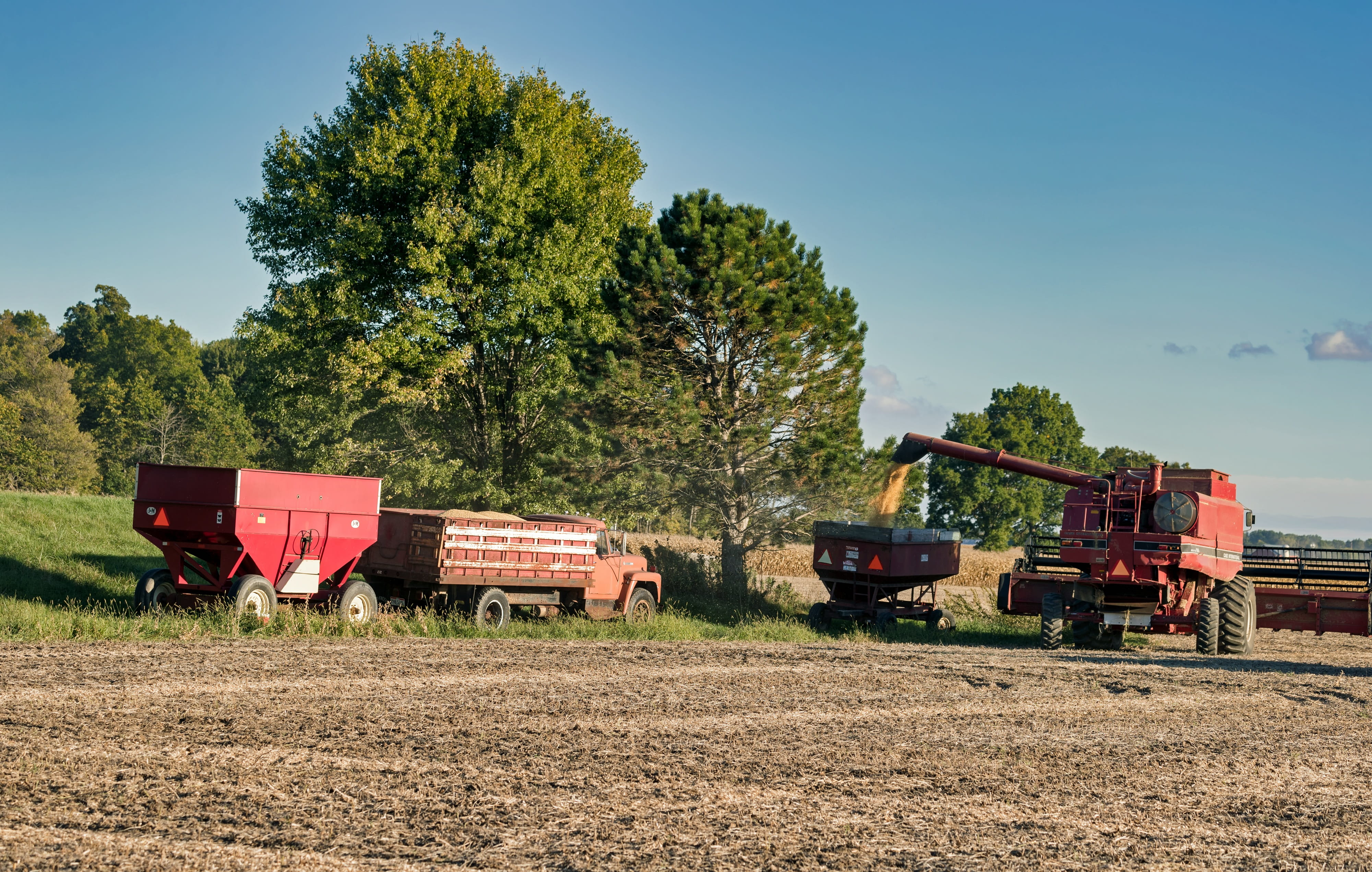 america, day, tree, transportation, rural, rail transportation, mode of transportation, nature, trees, agriculture, 4K, growth, soybean harvest, no people, HD Wallpaper
