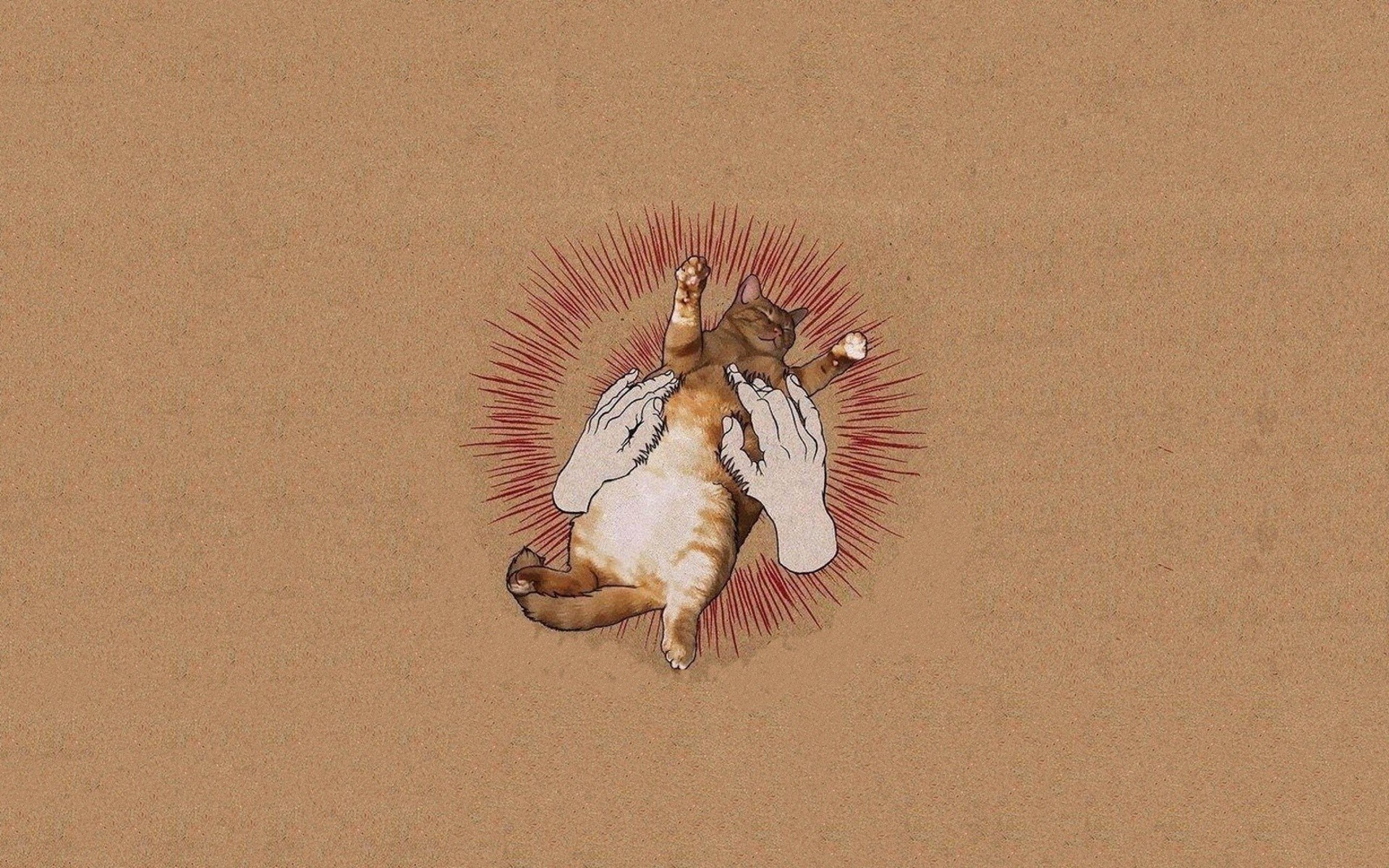 outdoors, vertebrate, bird, one animal, no people, animal themes, music godspeed you black emperor album covers cat parody, sand, nature, animal, animal wildlife, HD Wallpaper