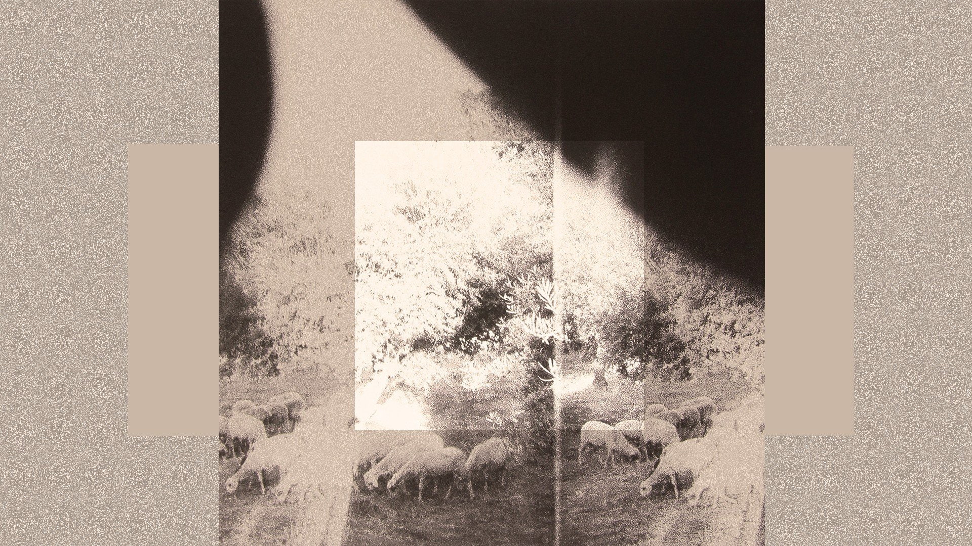 plant, auto post production filter, shadow, copy space, built structure, tree, wall - building feature, indoors, digital composite, music godspeed you black emperor album covers, HD Wallpaper