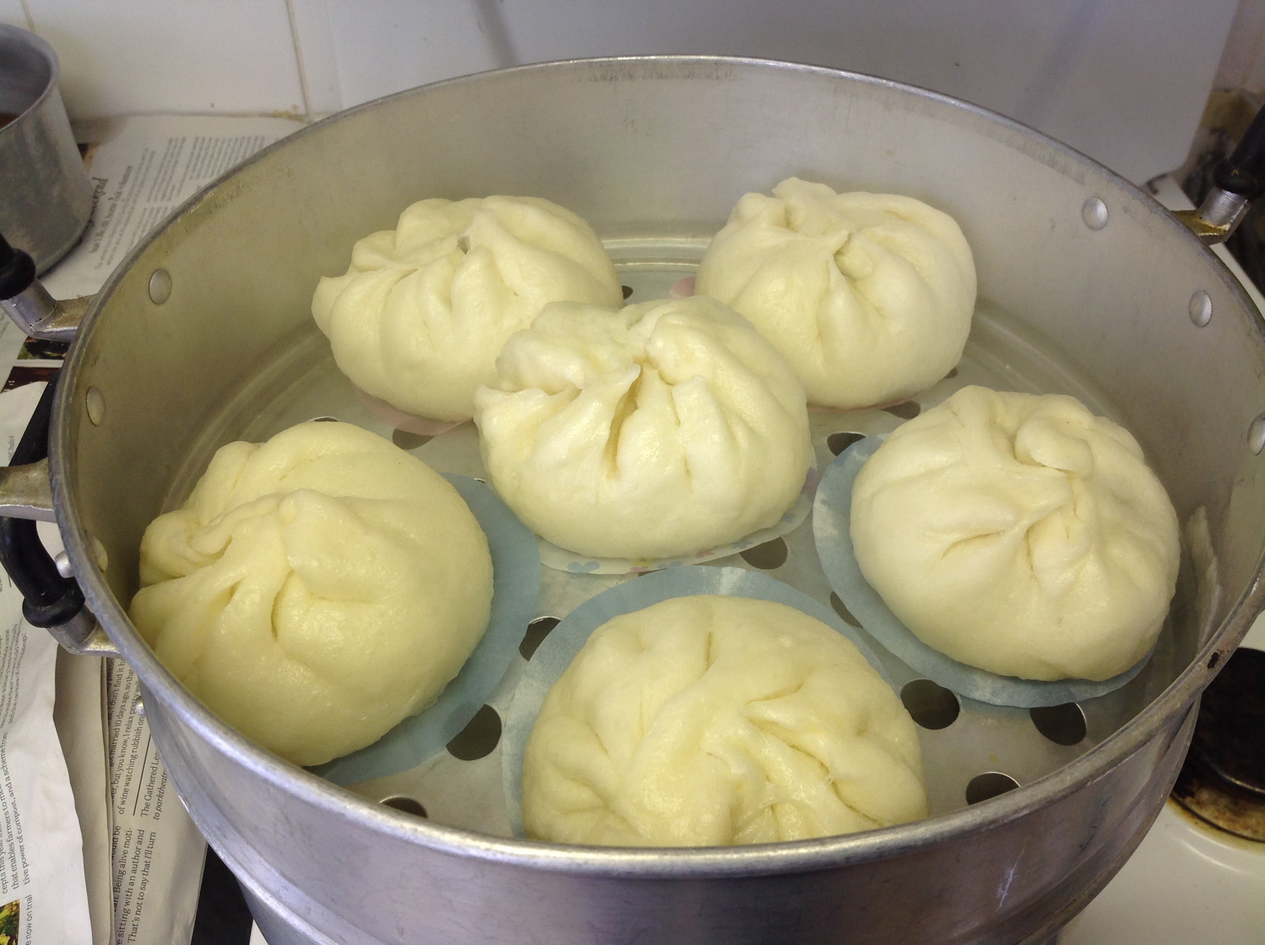 bowl, no people, pork bun, dumpling, home made, still life, steamed, chinese dumpling, household equipment, 2K, asian food, temptation, healthy eating, HD Wallpaper