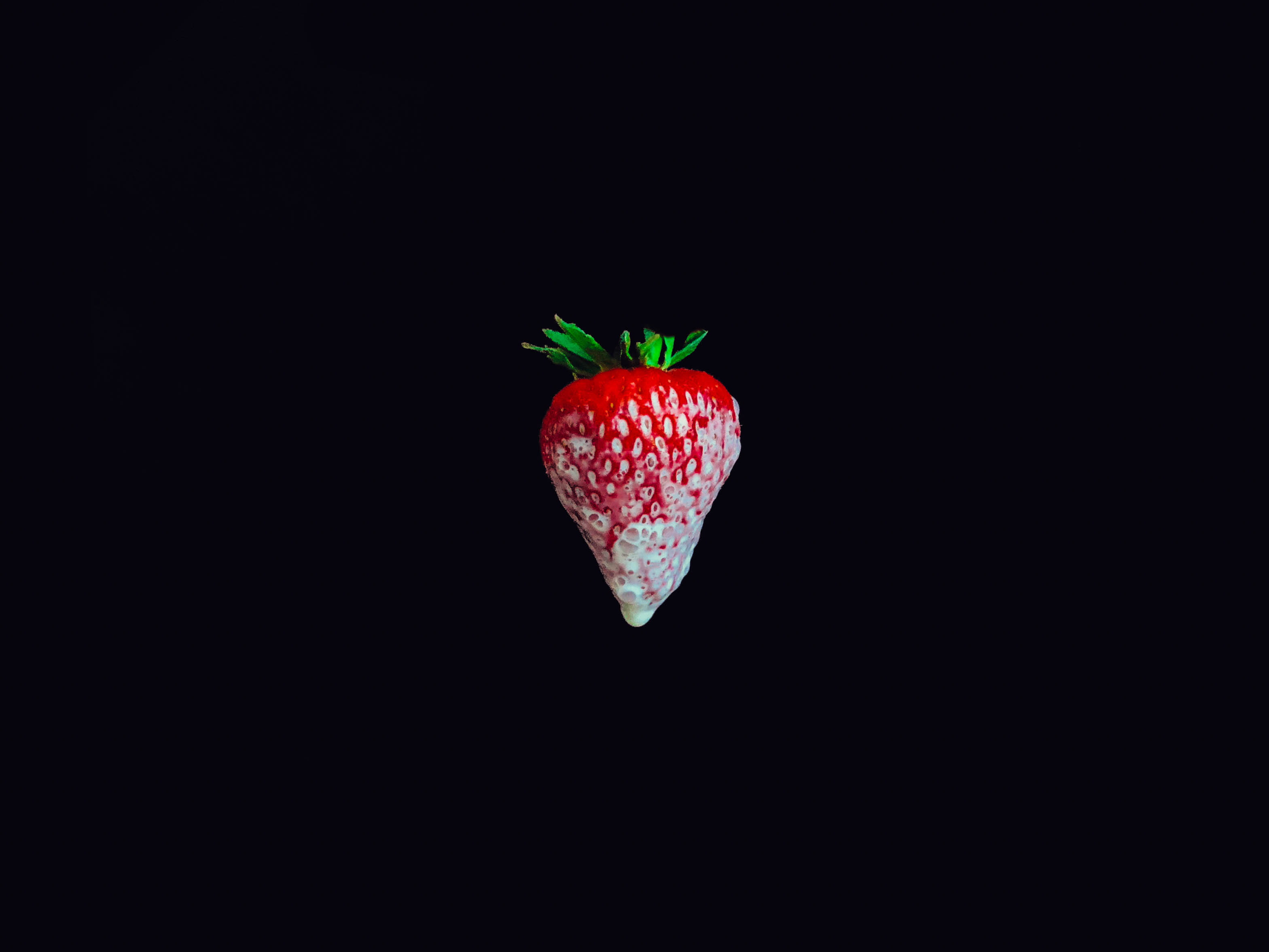 juicy, black background, studio shot, black, unporn, berry fruit, ripe, fruit, food, indoors, surface, 2K, dip, food and drink, freshness, copy space, HD Wallpaper