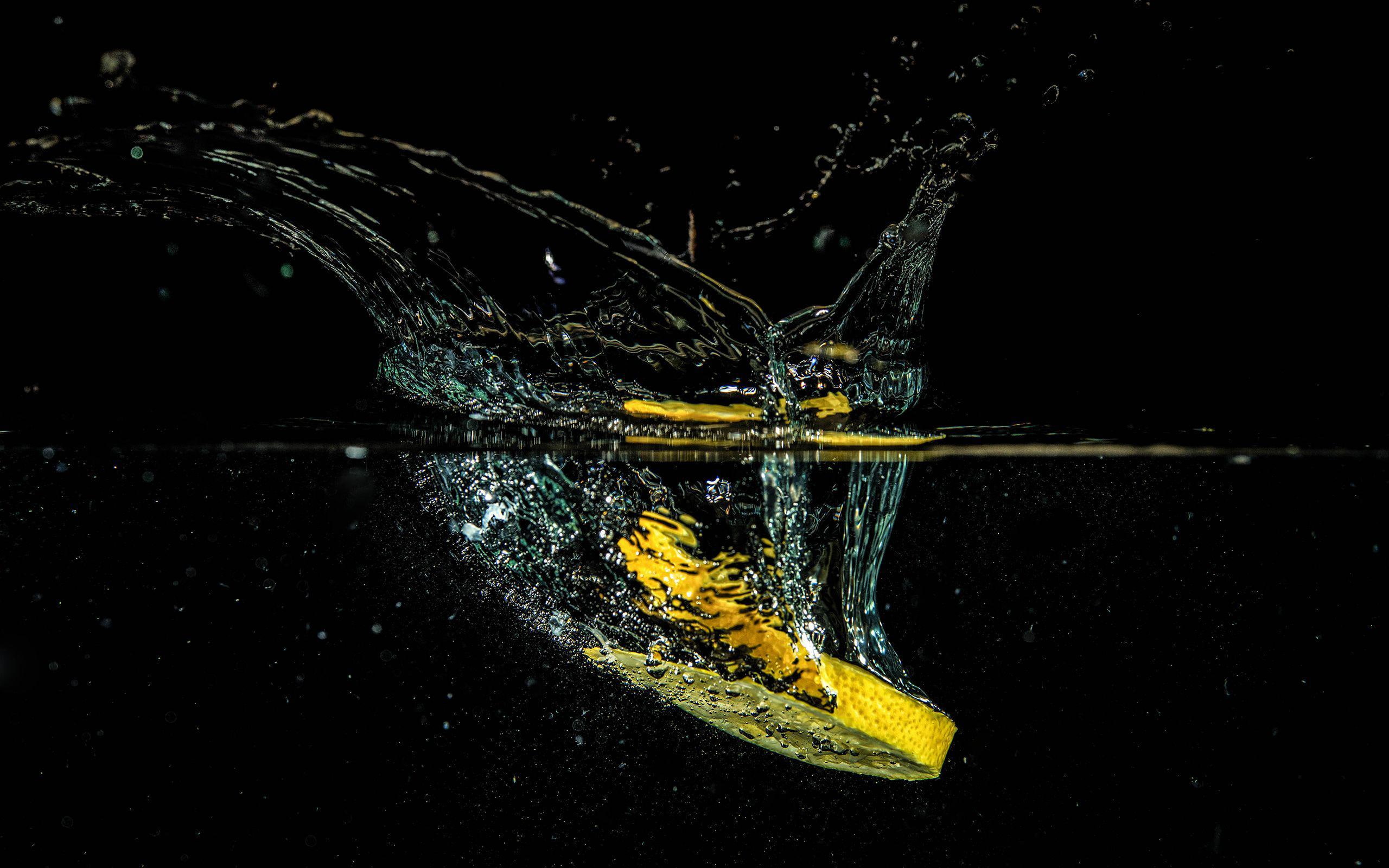 dipped, slice, macro, water, photography, 2560x1600, 2K, fruit, lemon, HD Wallpaper