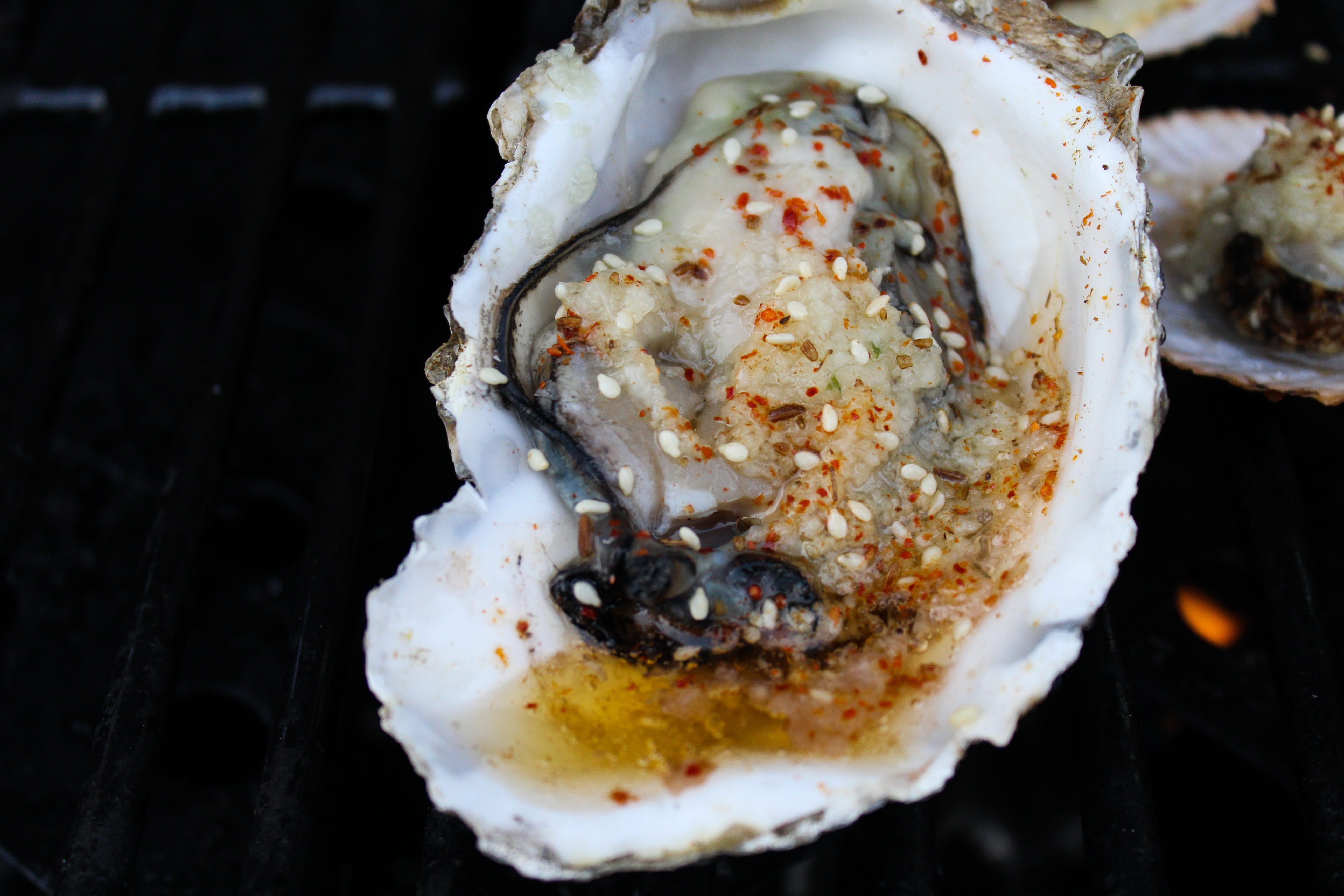 ready-to-eat, 5K, no people, oysters, temptation, fish, freshness, close-up, white color, indoors, seafood, meal, vertebrate, focus on foreground, barbecue, HD Wallpaper