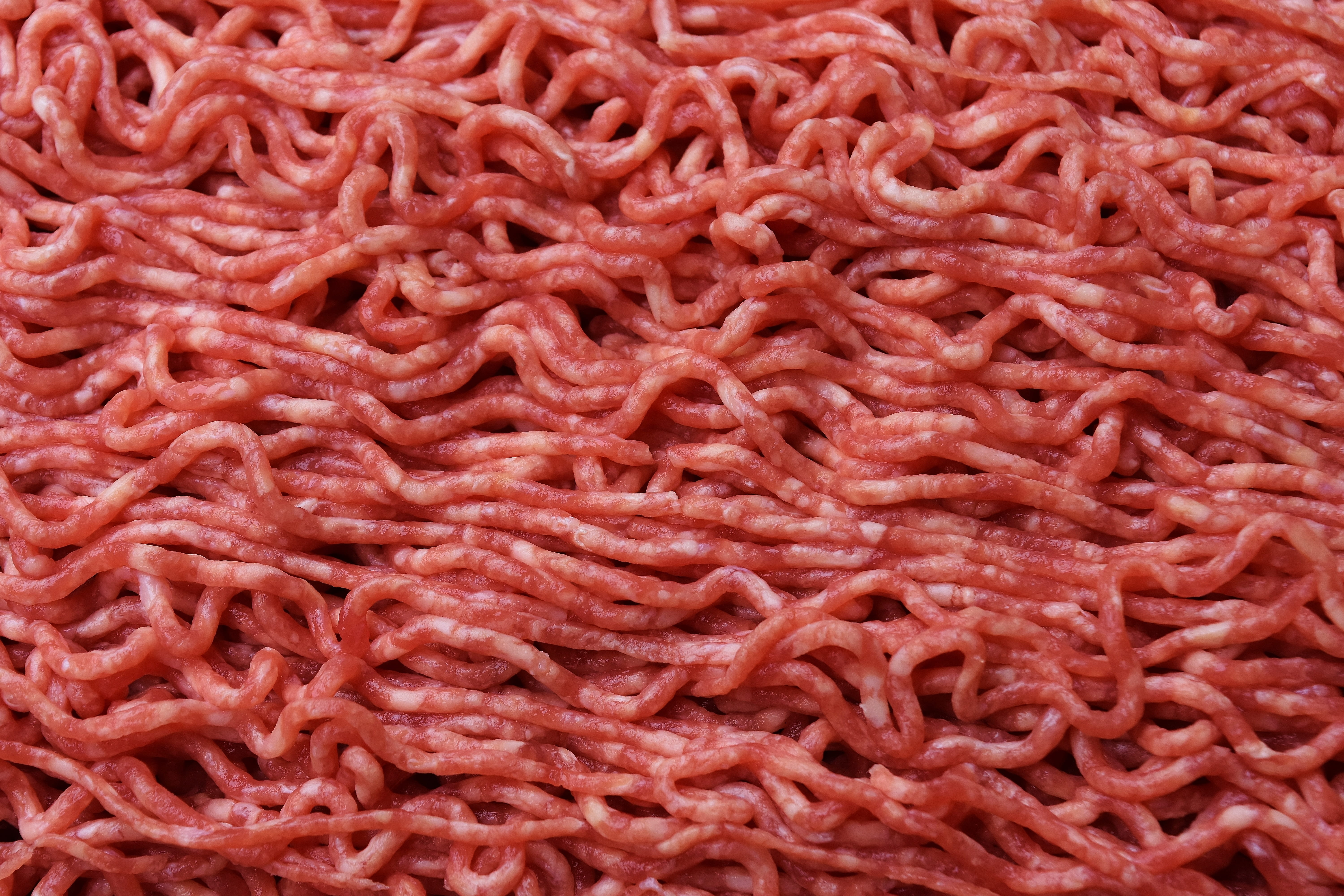 beef, eat, indoors, close-up, raw food, 5K, still life, dish, minced, minced  meat, red meat, food, raw, ground beef, wellbeing, food and drink, nutrition, HD Wallpaper