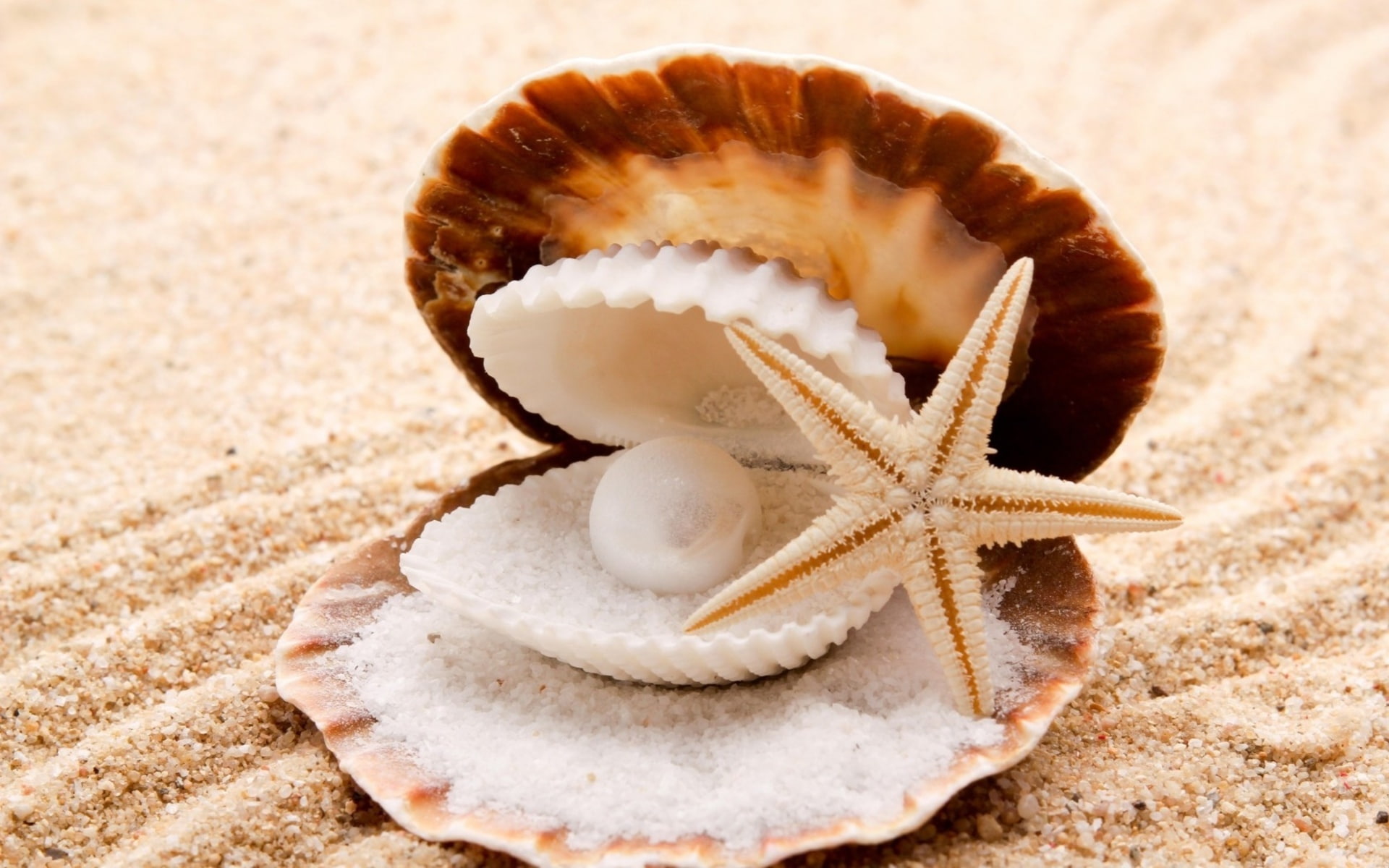 beaches, 1080P, shell, clam, sand, seashells, starfish, pearl, HD Wallpaper