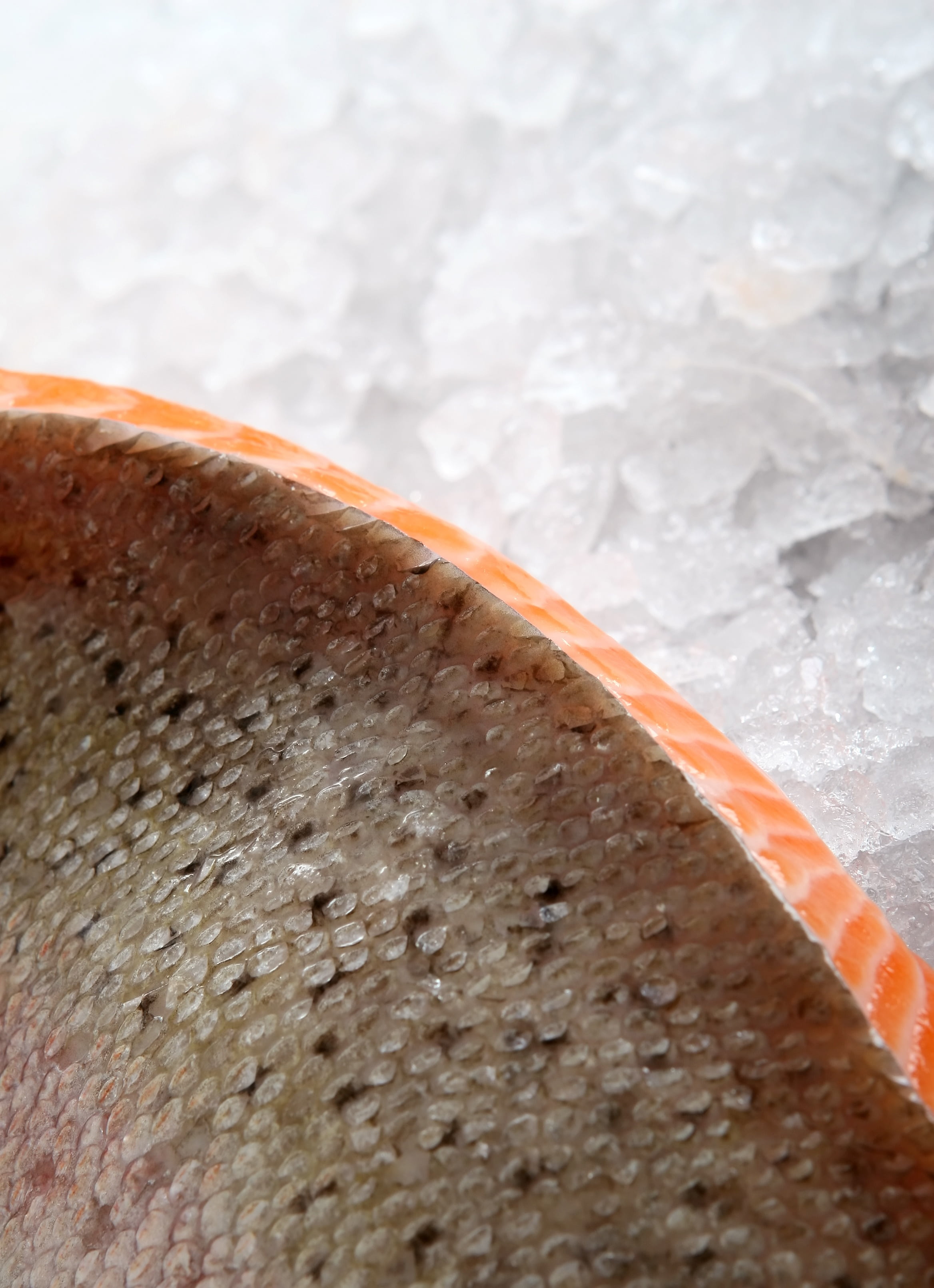 selective focus, focus on foreground, raw, healthy, indoors, sushi, kitchen, plaice, luxury, oil, glass, meat, refreshment, white, food, healthy lifestyle, Phone HD Wallpaper